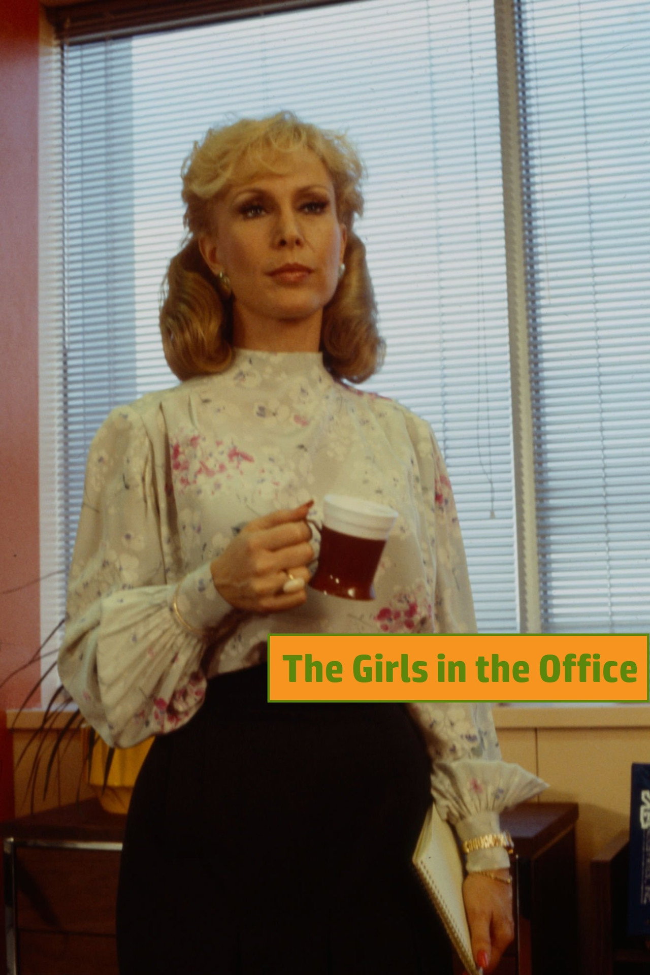 Pôster de The Girls in the Office