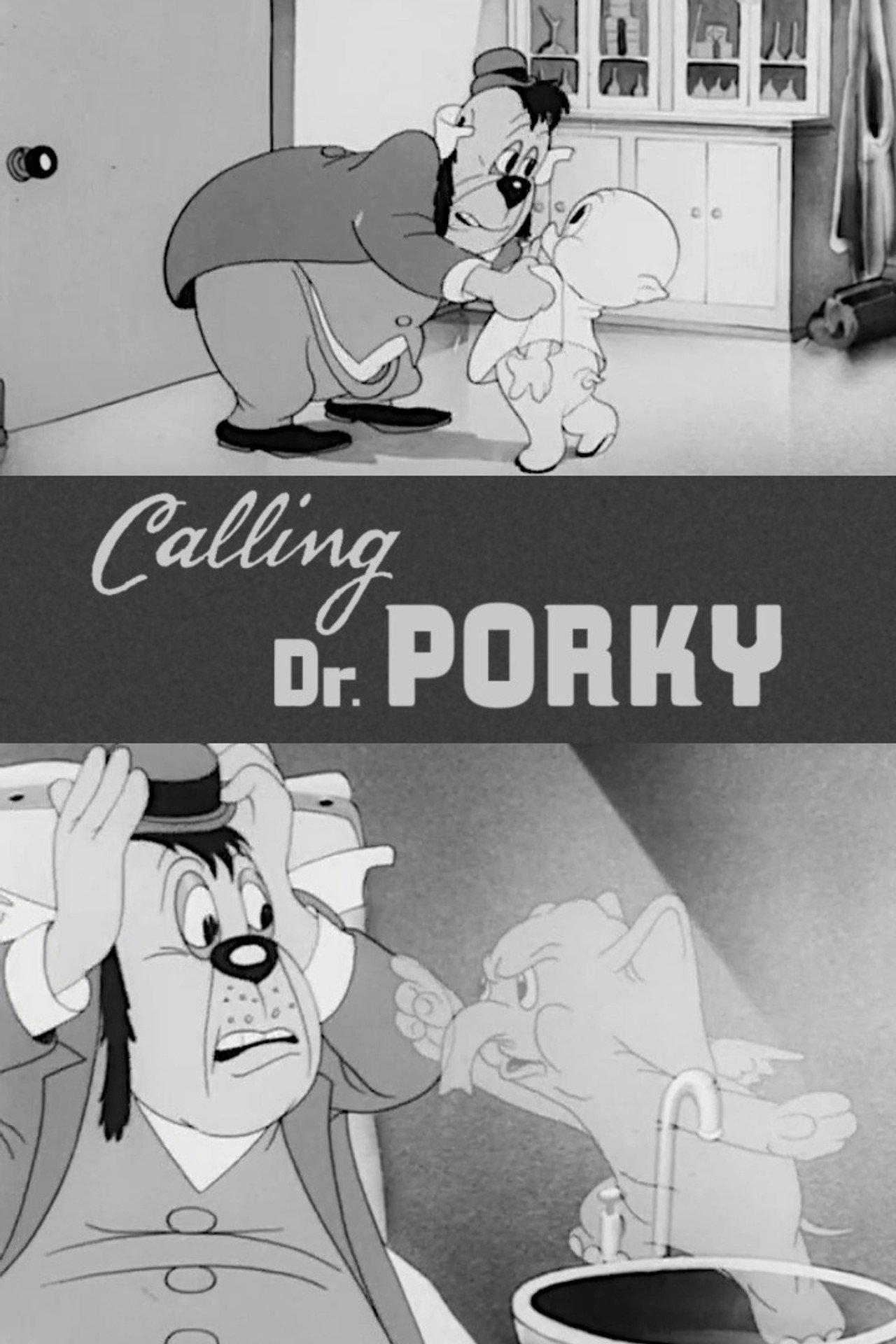 Pôster de Calling Dr. Porky