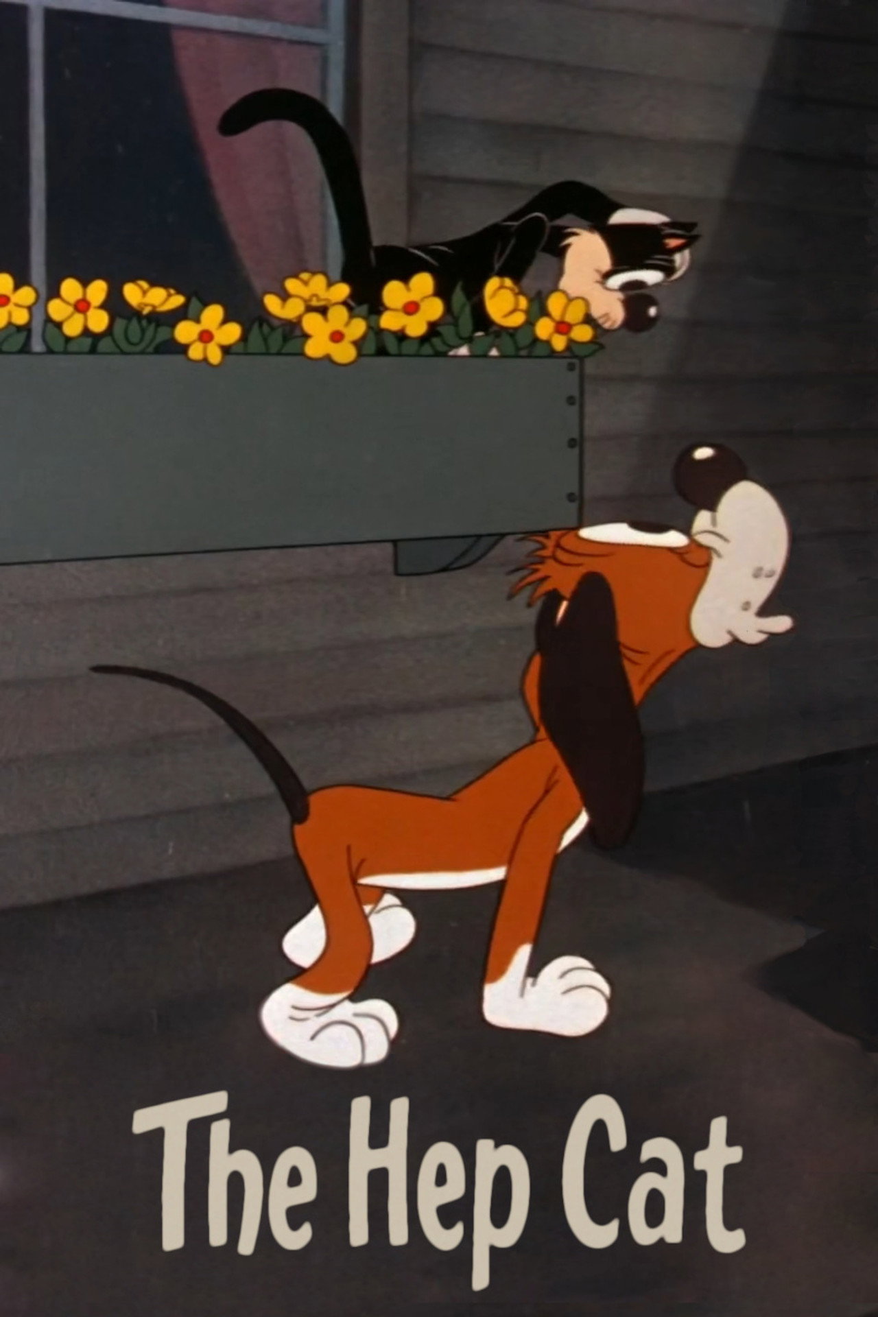 Pôster de The Hep Cat