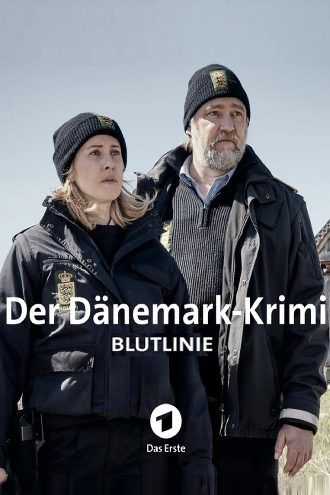 Pôster de Der Dänemark-Krimi - Blutlinie