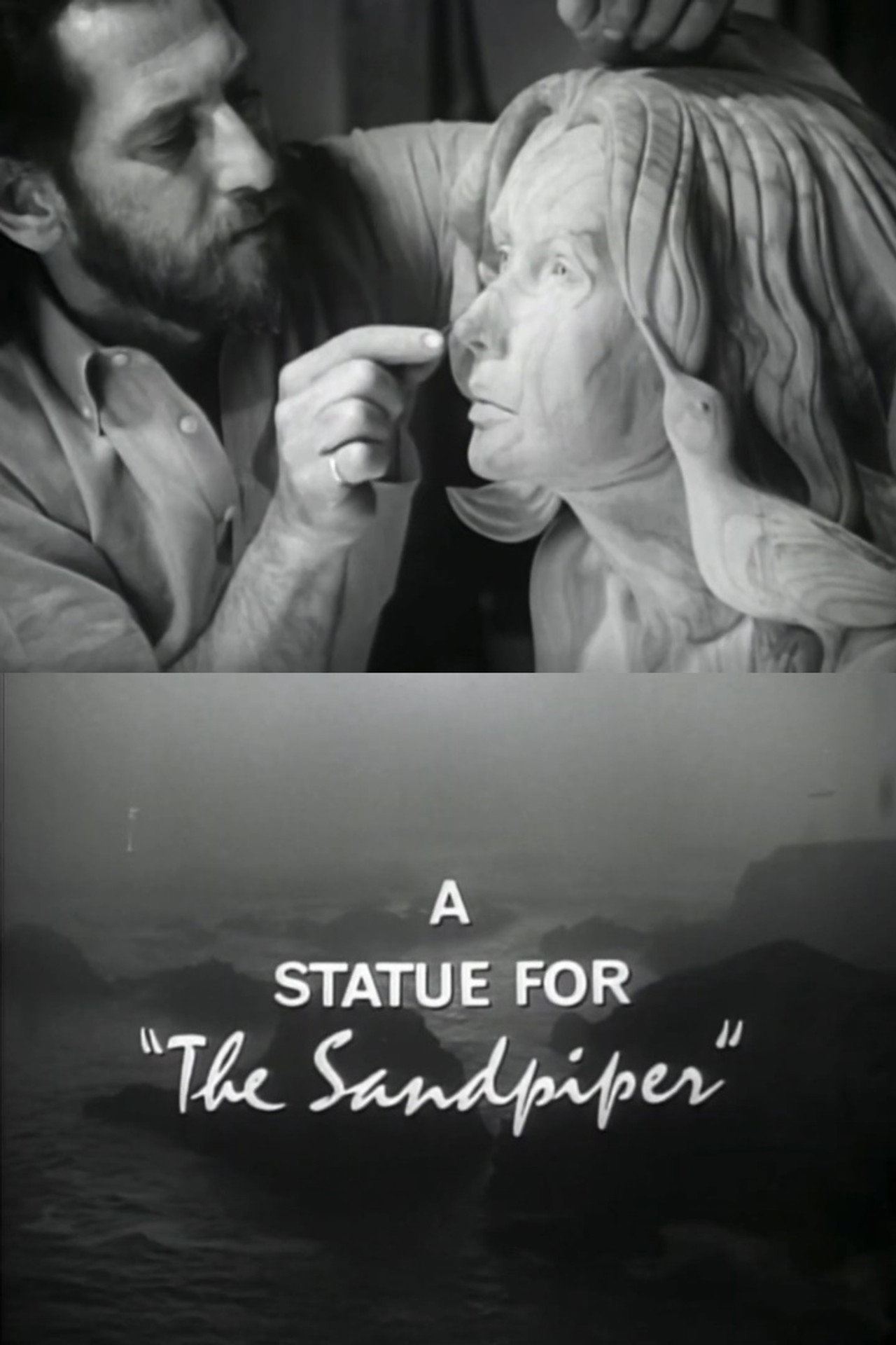 Pôster de A Statue for "The Sandpiper"