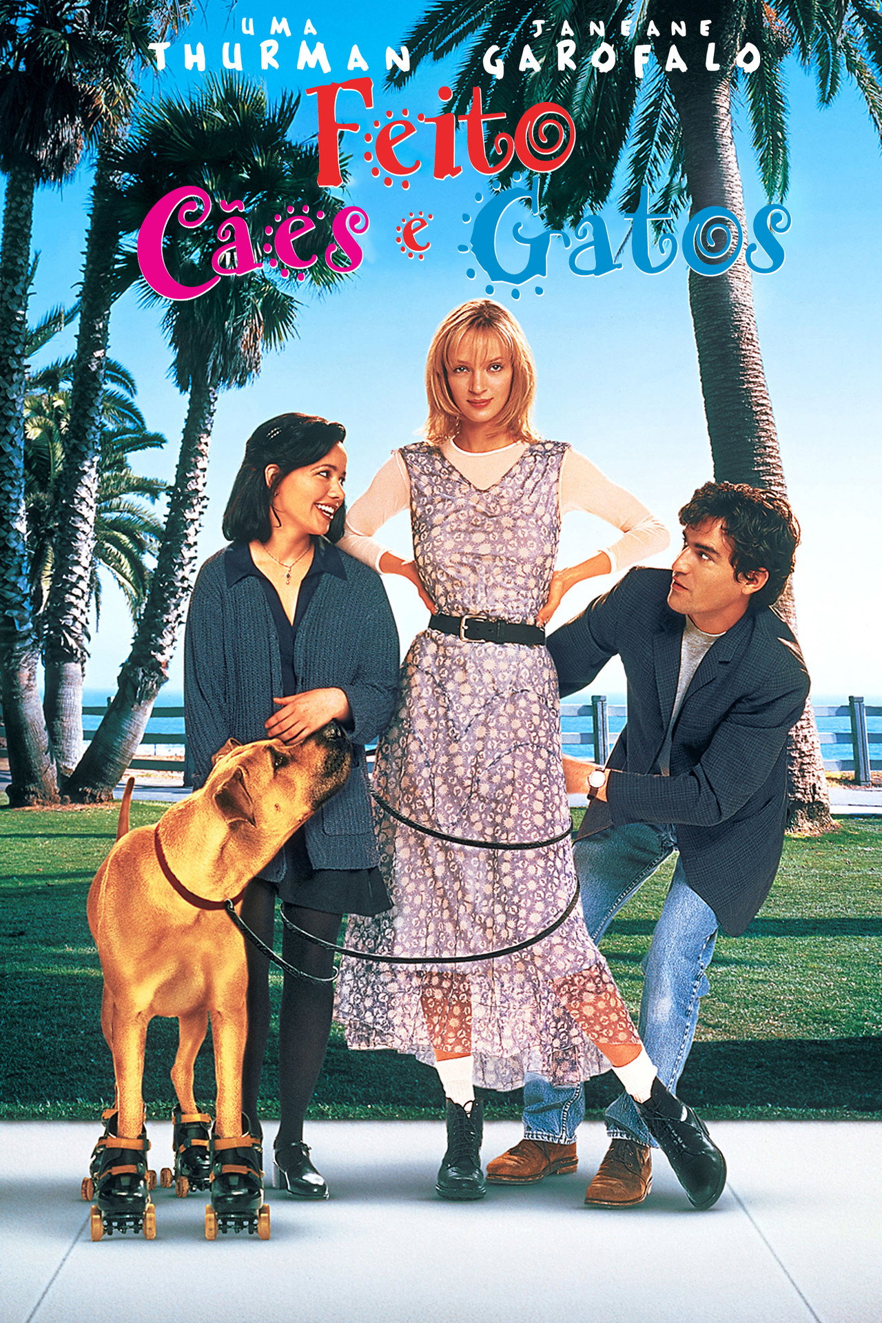 Pôster de Feito Cães e Gatos