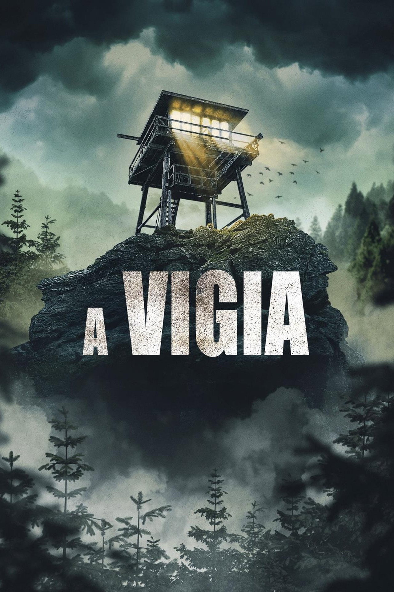 Pôster de A Vigia