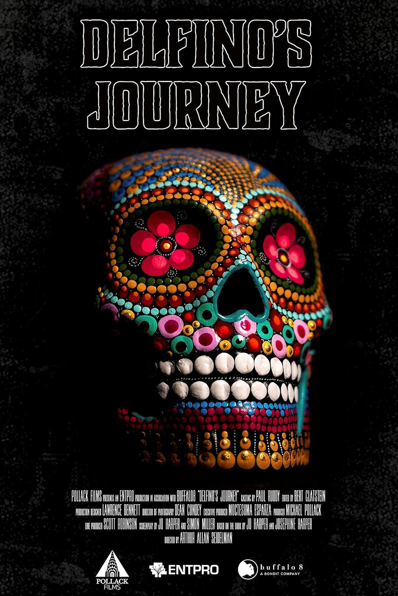 Pôster de Delfino's Journey