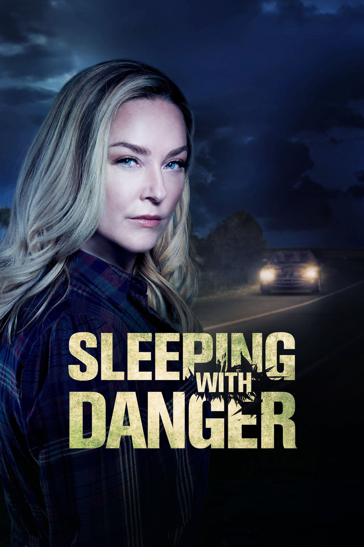 Pôster de Sleeping with Danger