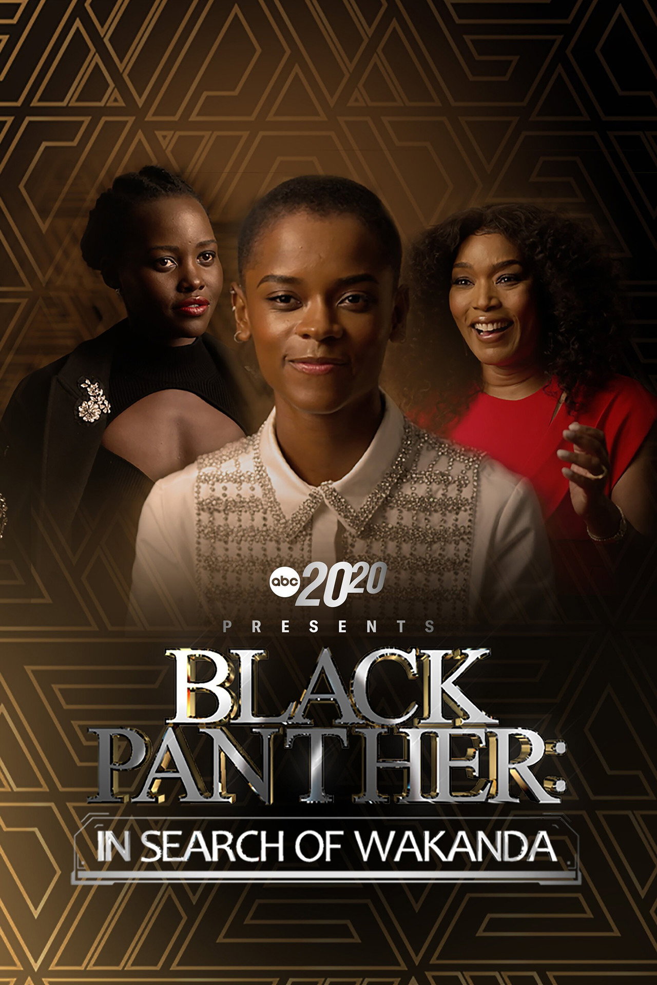 Pôster de 20/20 Presents Black Panther: In Search of Wakanda