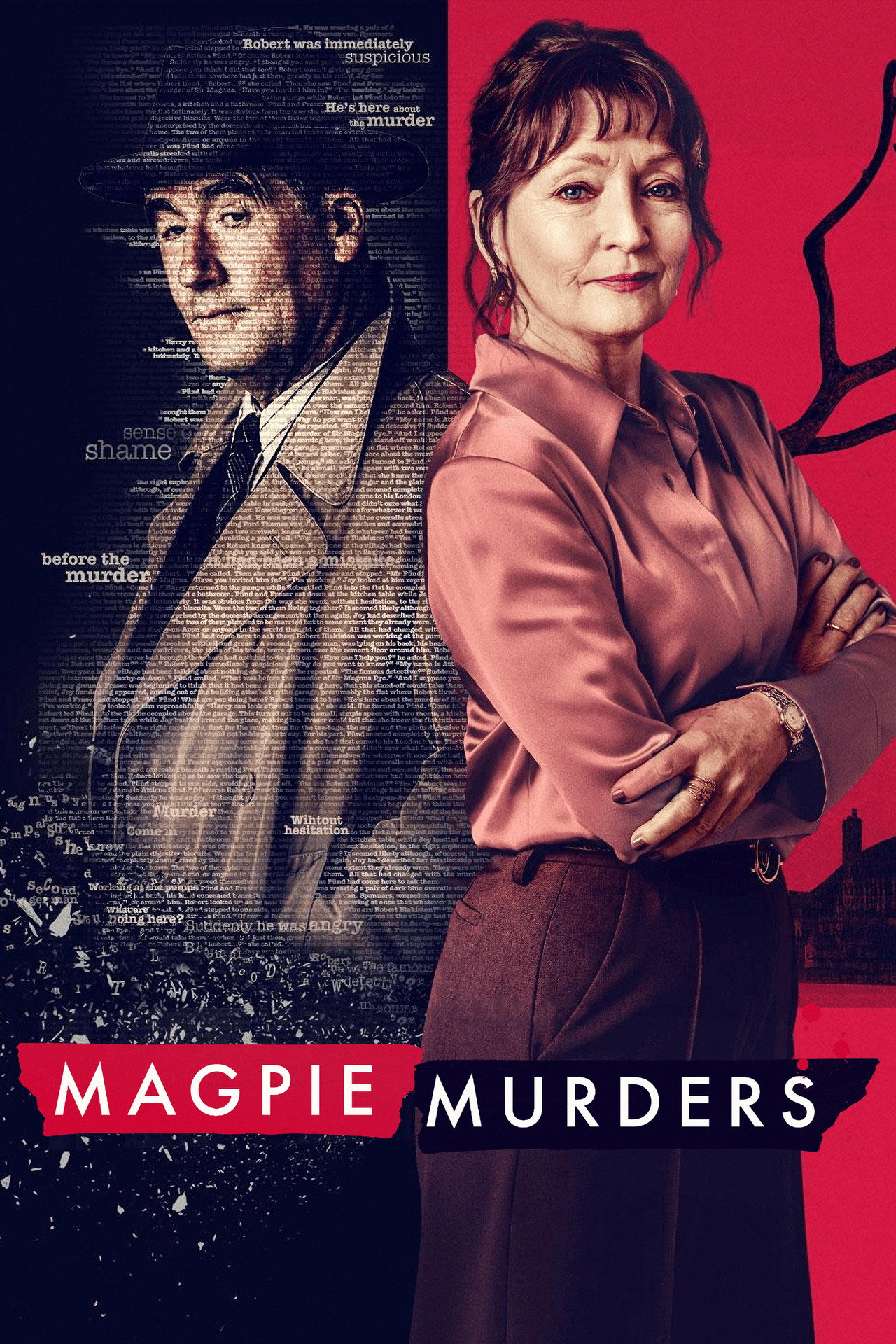 Pôster de Magpie Murders