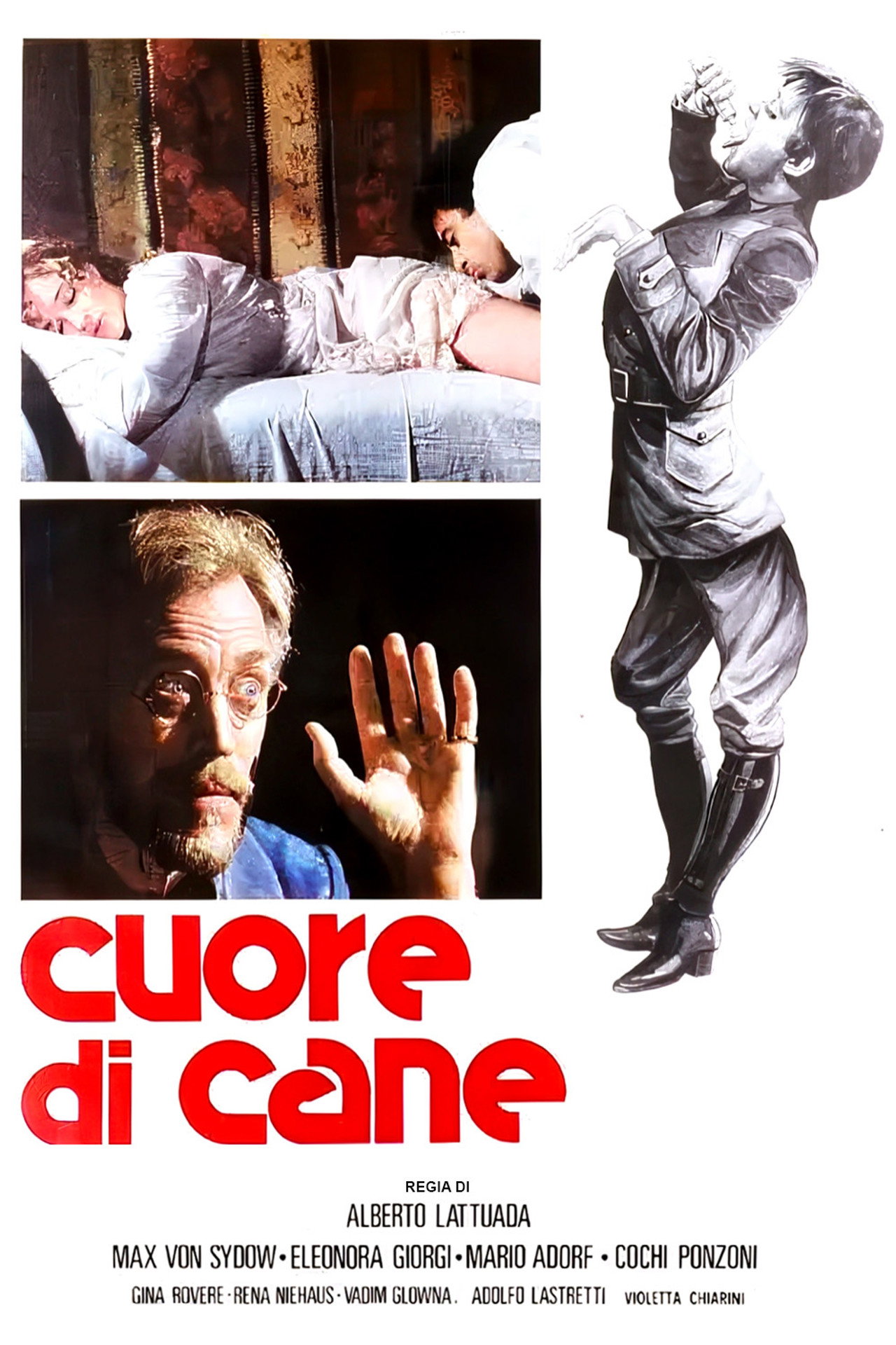 Pôster de Cuore di cane
