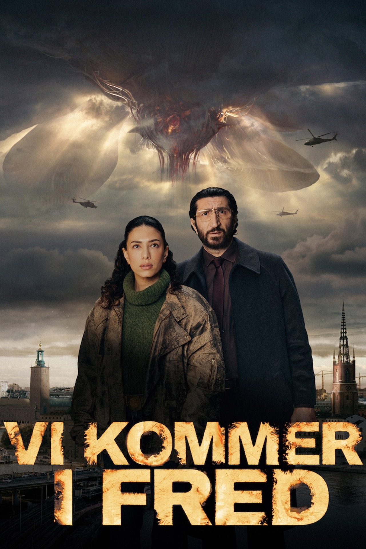 Pôster de Vi kommer i fred