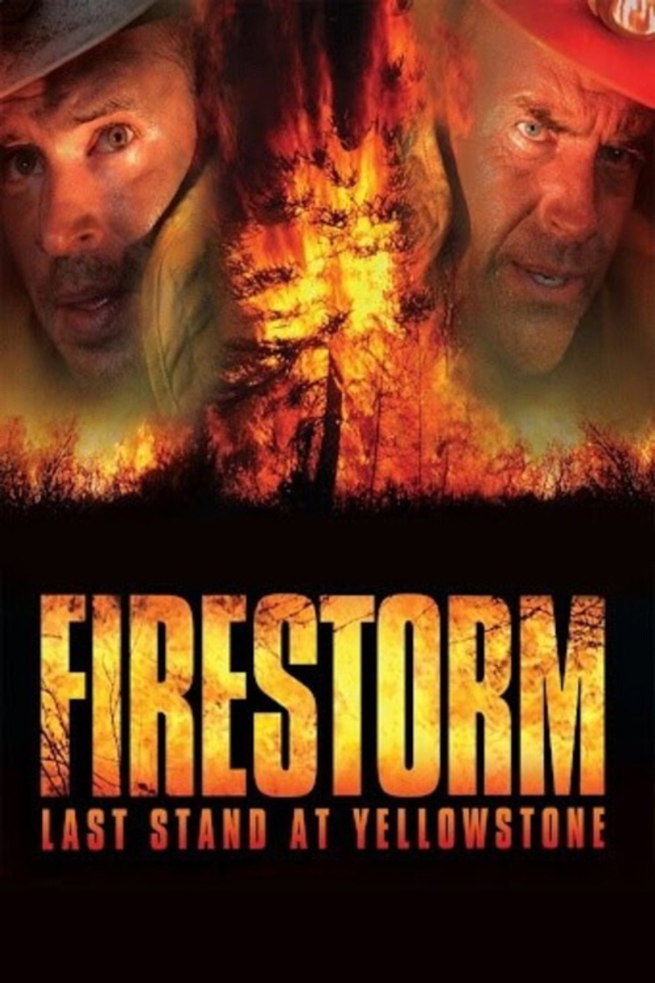 Pôster de Firestorm: Last Stand at Yellowstone