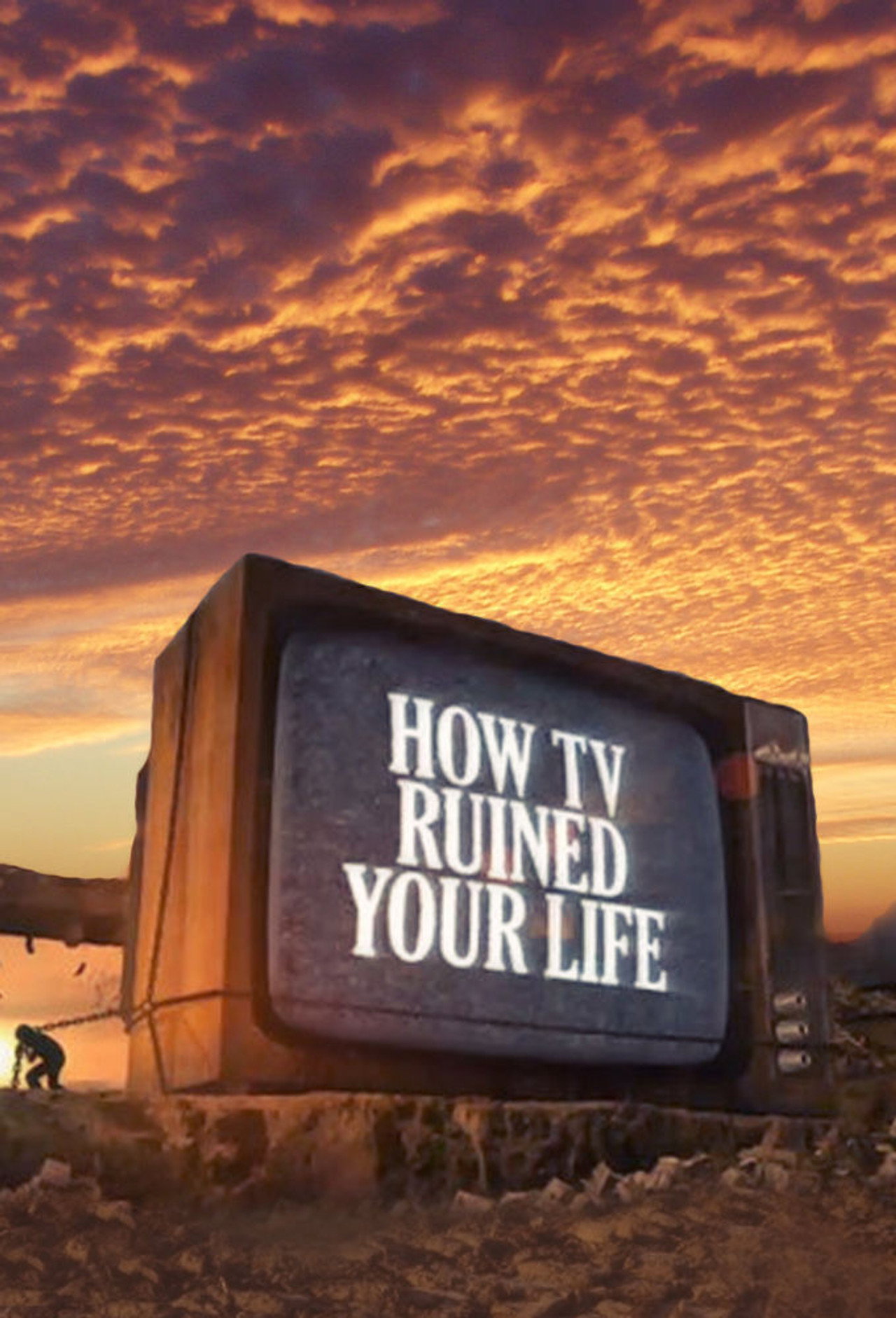 Pôster de How TV Ruined Your Life