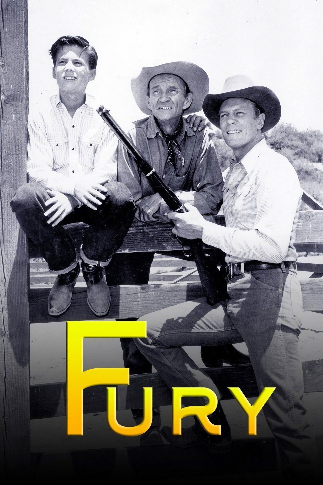 Pôster de Fury