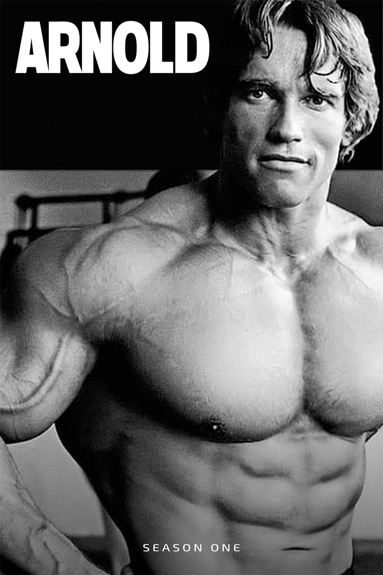 Pôster de Arnold