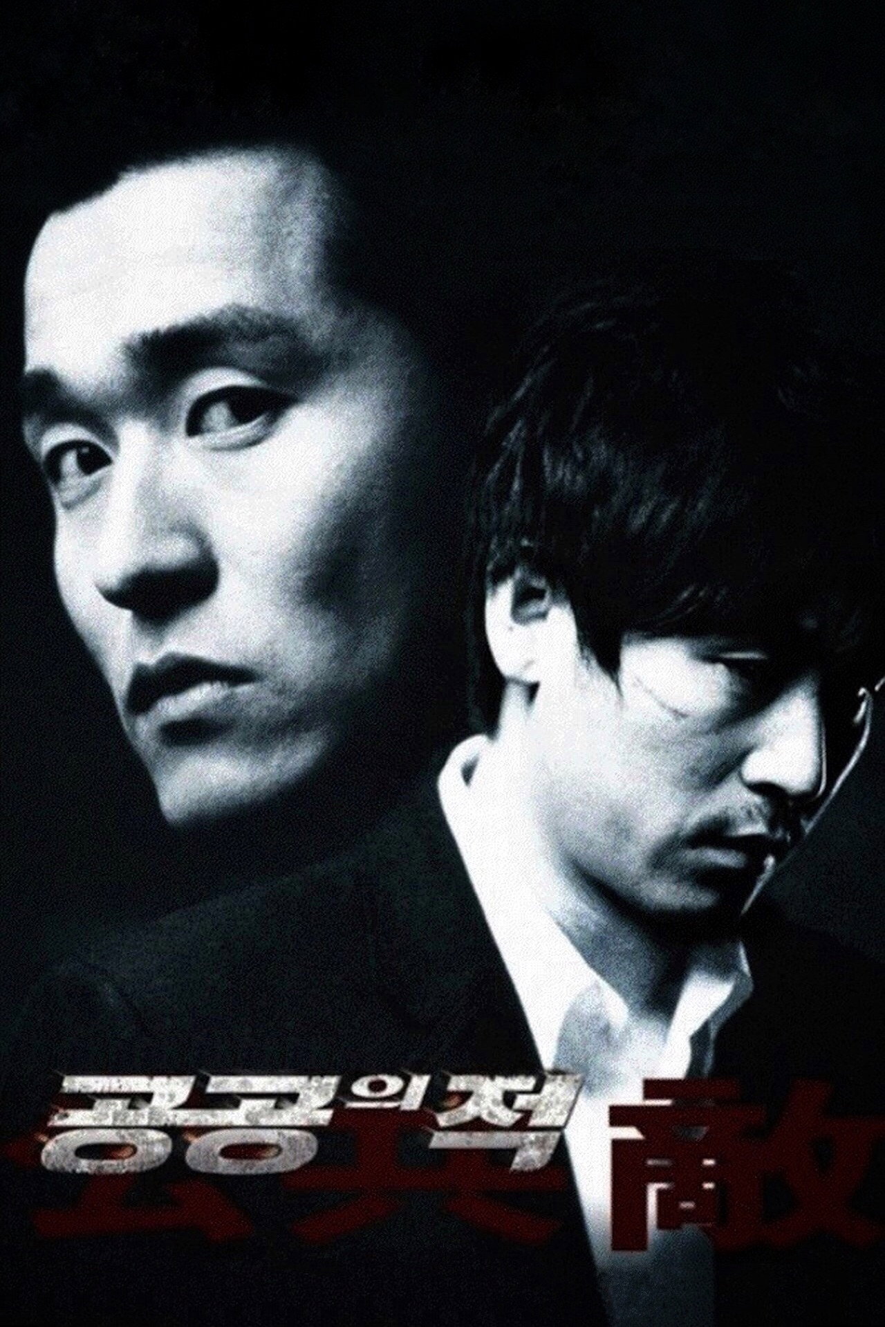 Pôster de 공공의 적