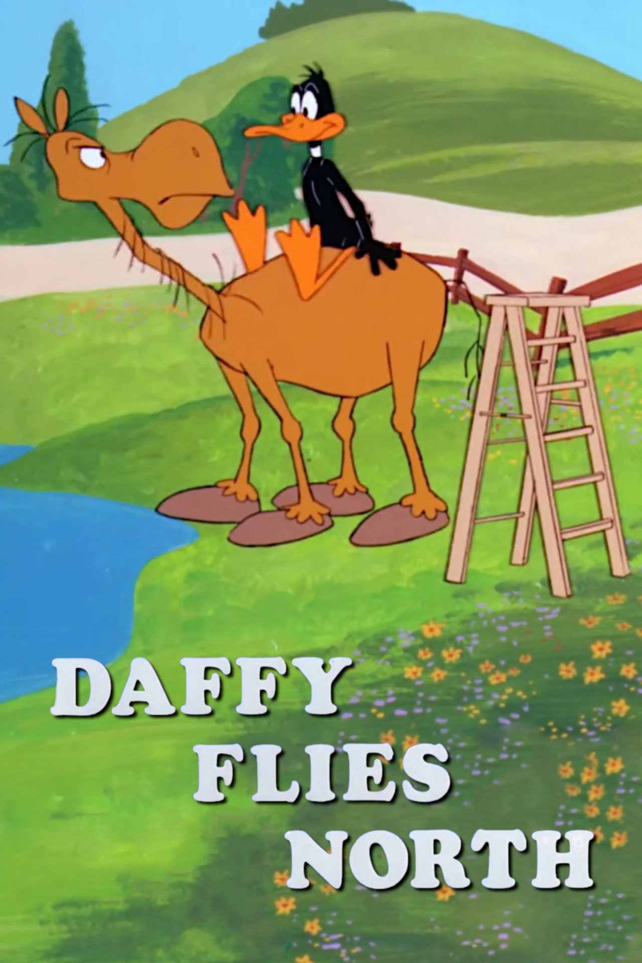 Pôster de Daffy Flies North