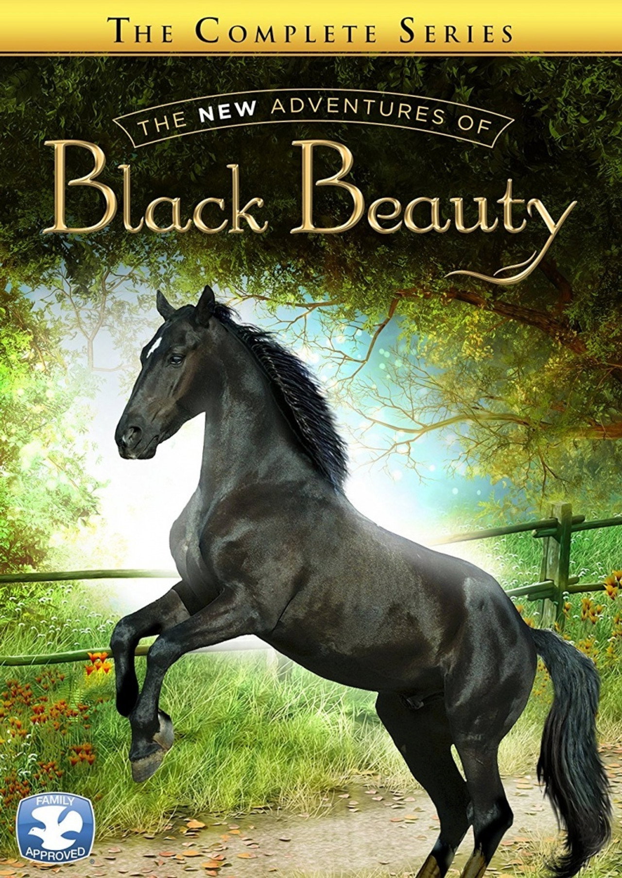 Pôster de The New Adventures of Black Beauty