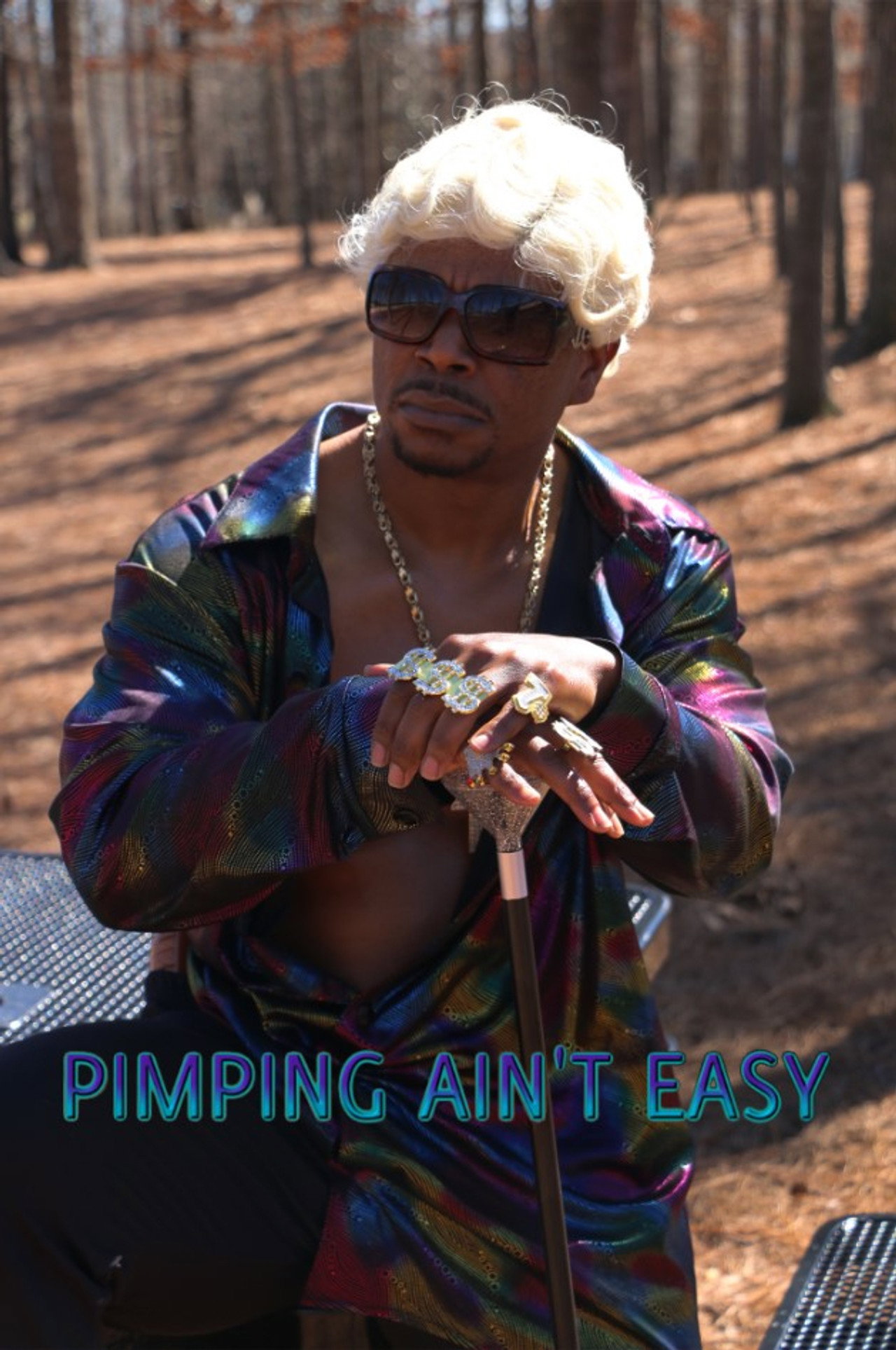 Pôster de Pimpin Ain't Easy