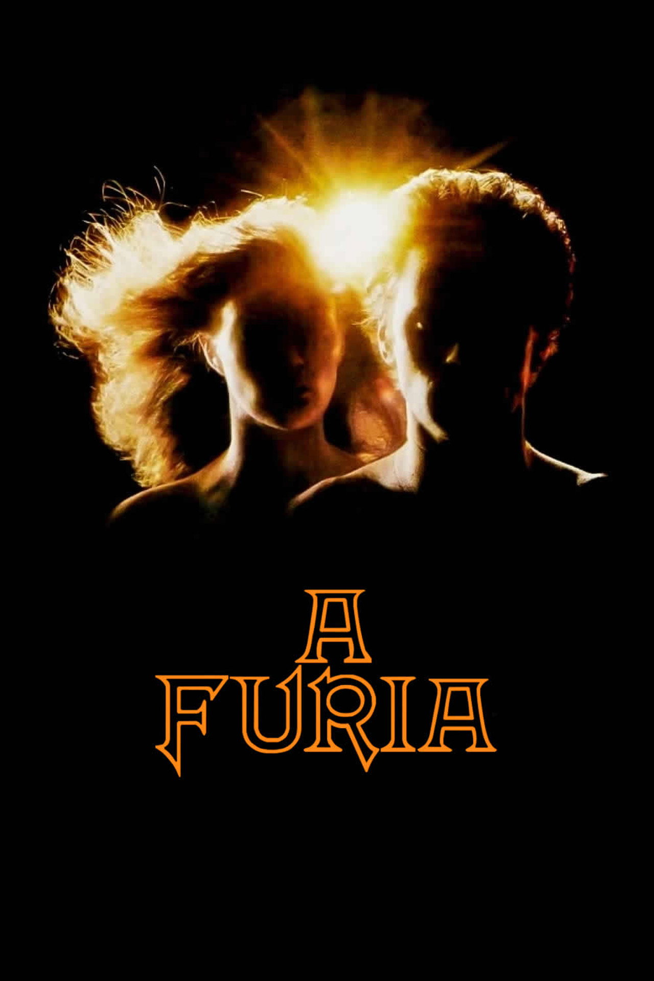 Pôster de A Fúria