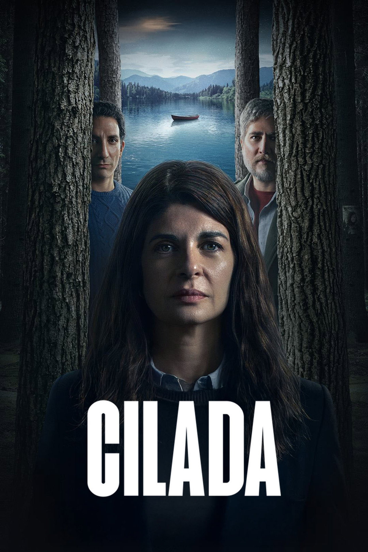 Pôster de Cilada