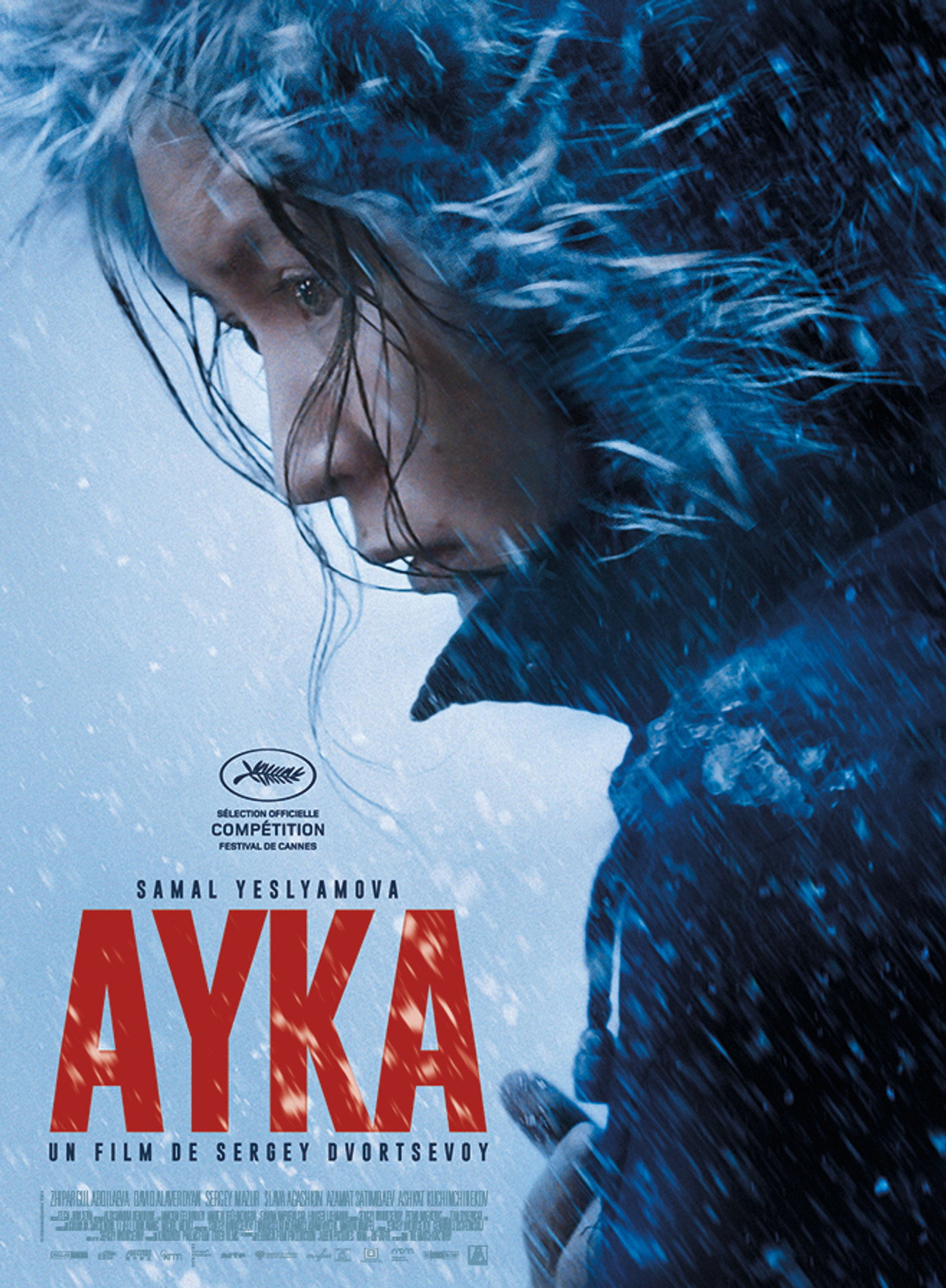 Pôster de Ayka