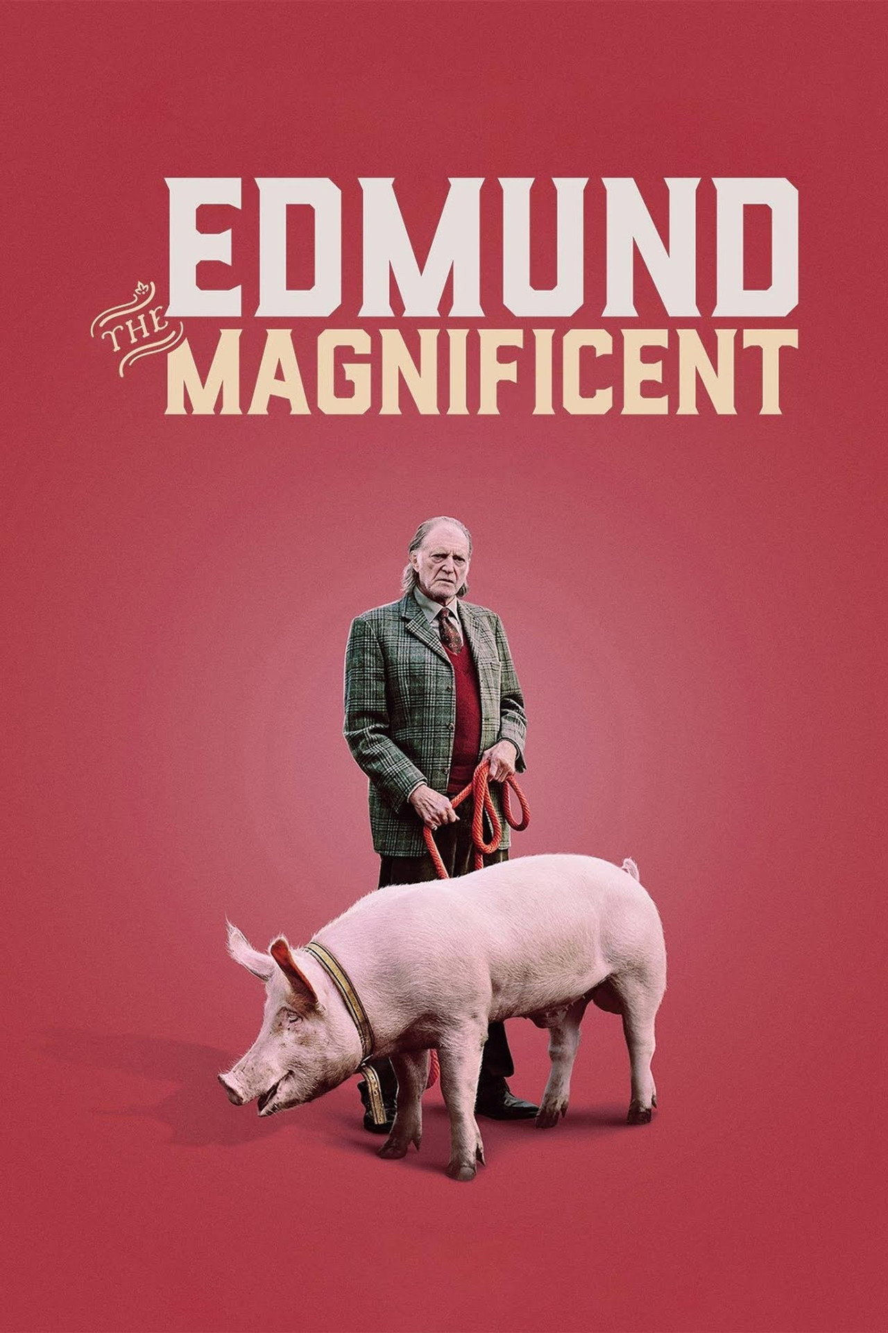Pôster de Edmund the Magnificent