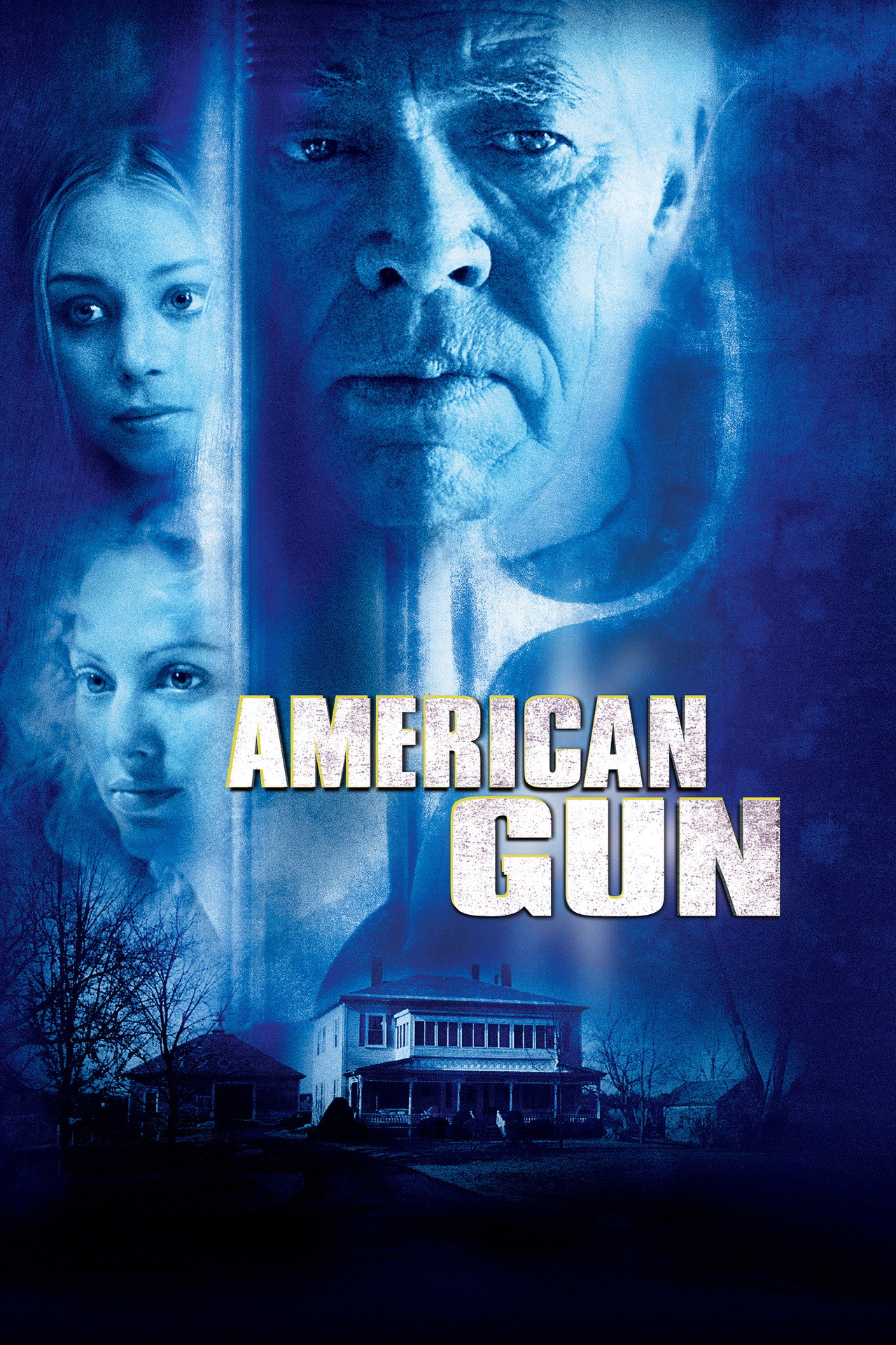 Pôster de American Gun