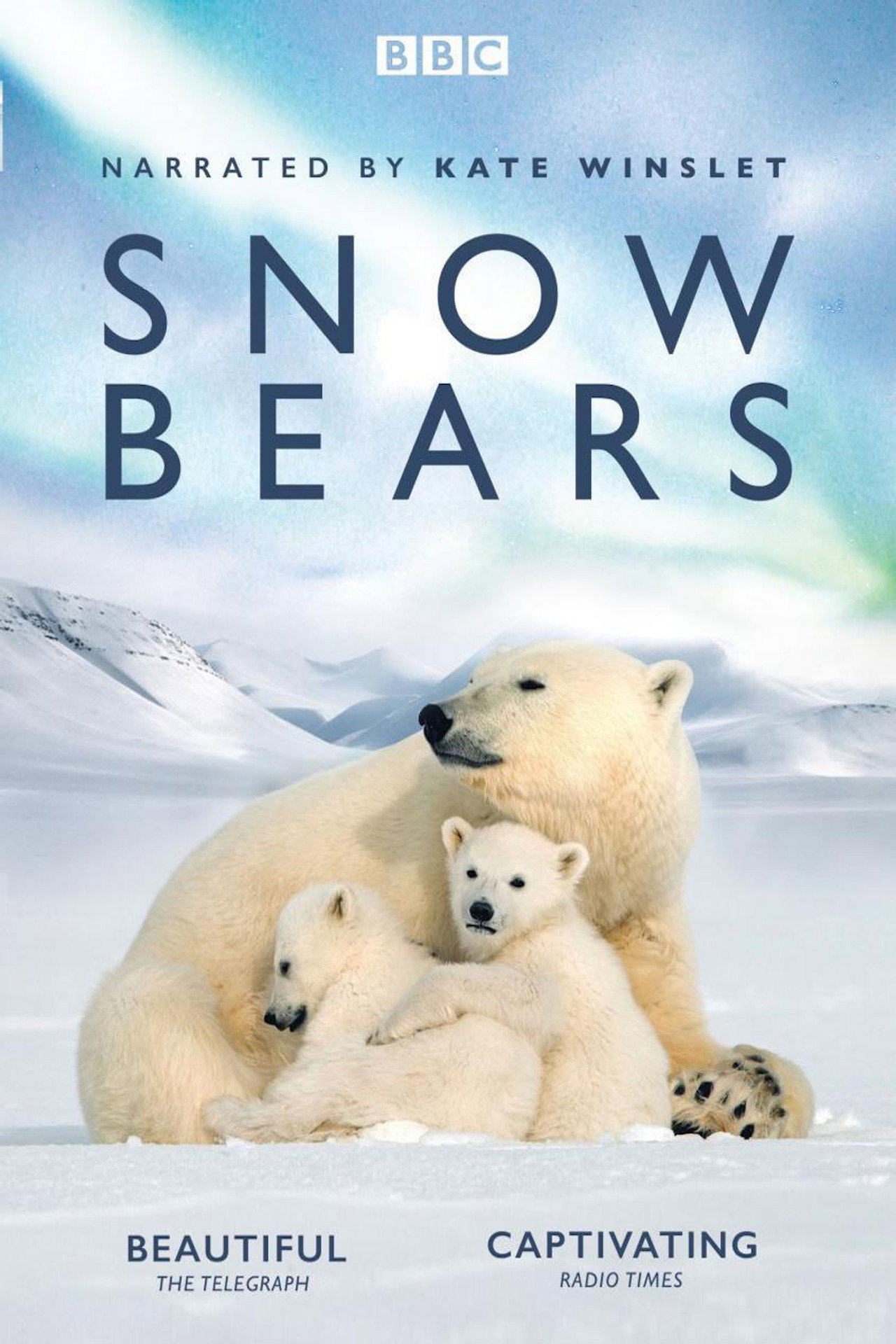 Pôster de Snow Bears