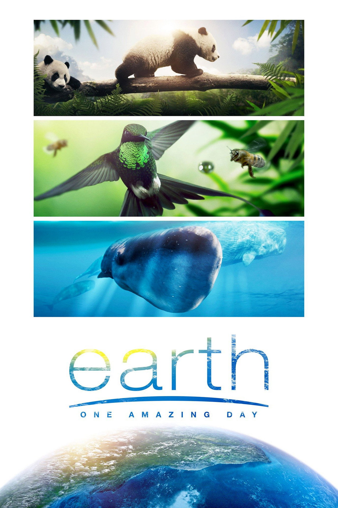 Pôster de Earth: One Amazing Day