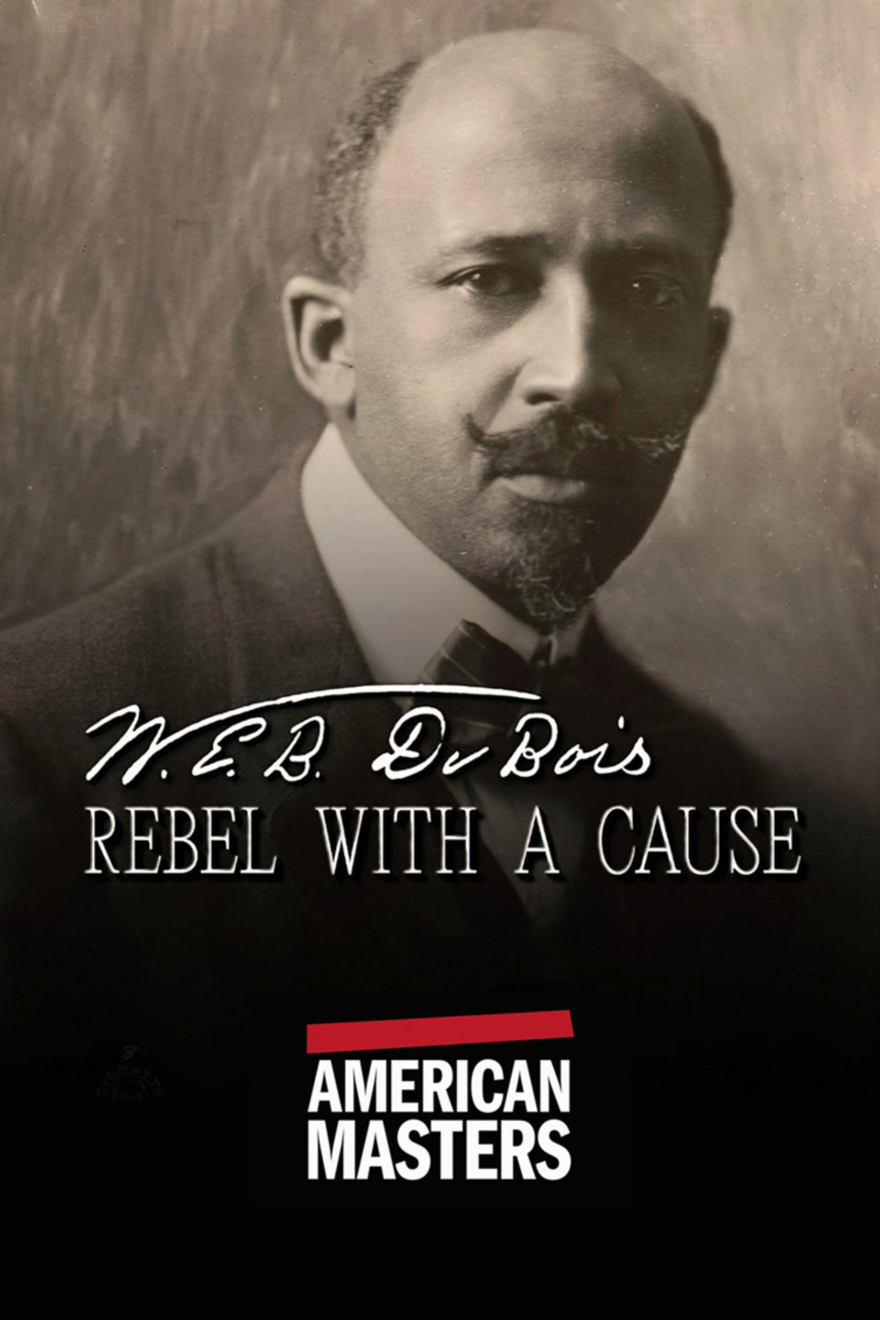 Pôster de W.E.B. Du Bois: Rebel With a Cause