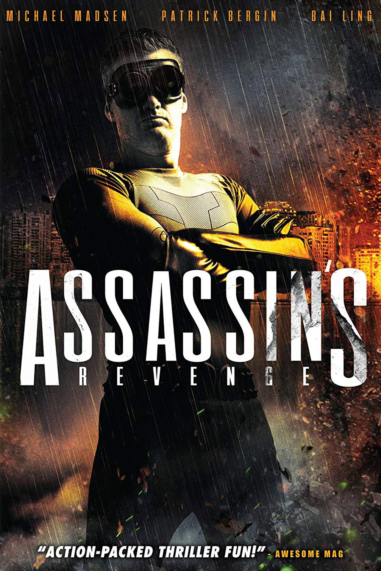 Pôster de Assassins Revenge