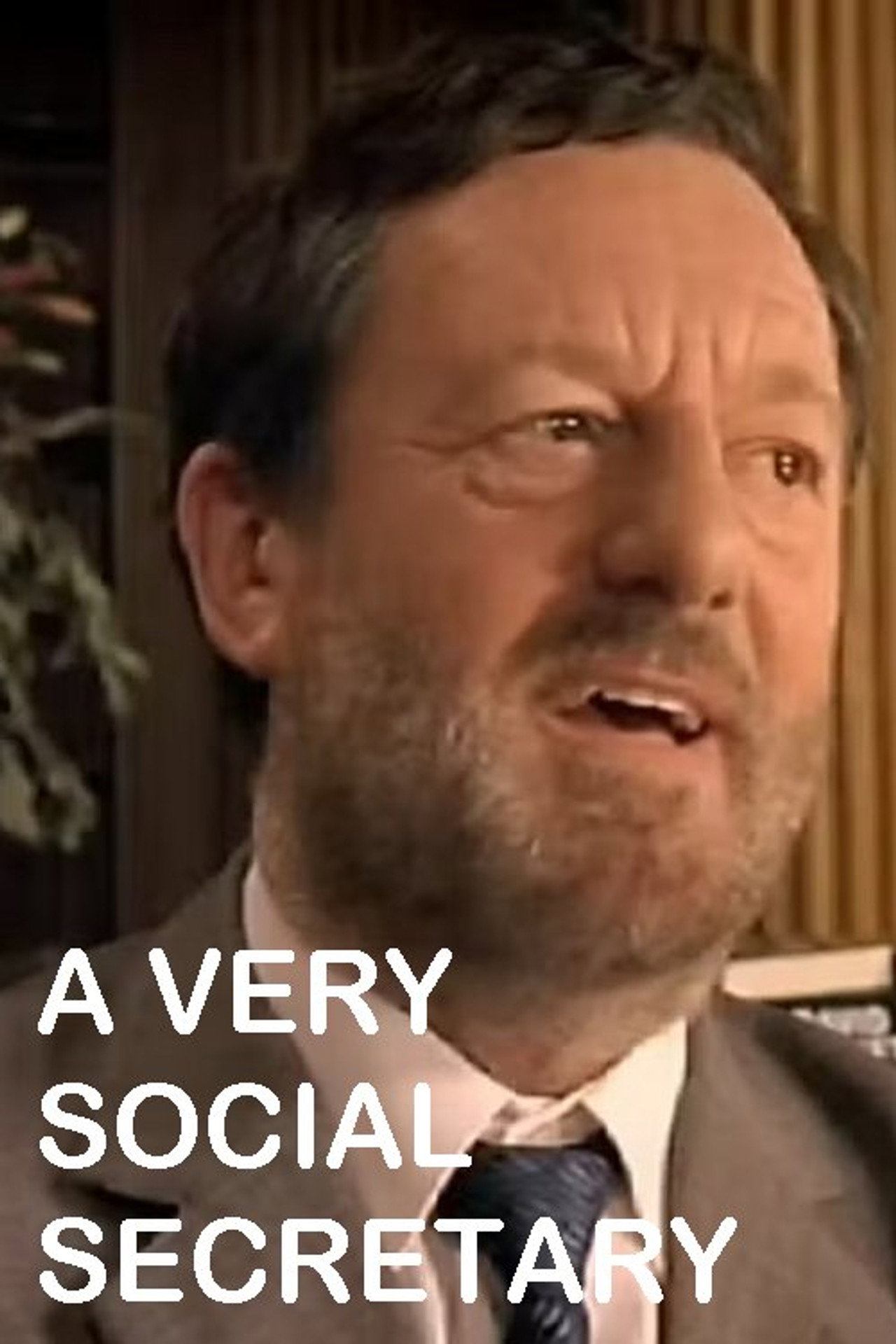 Pôster de A Very Social Secretary