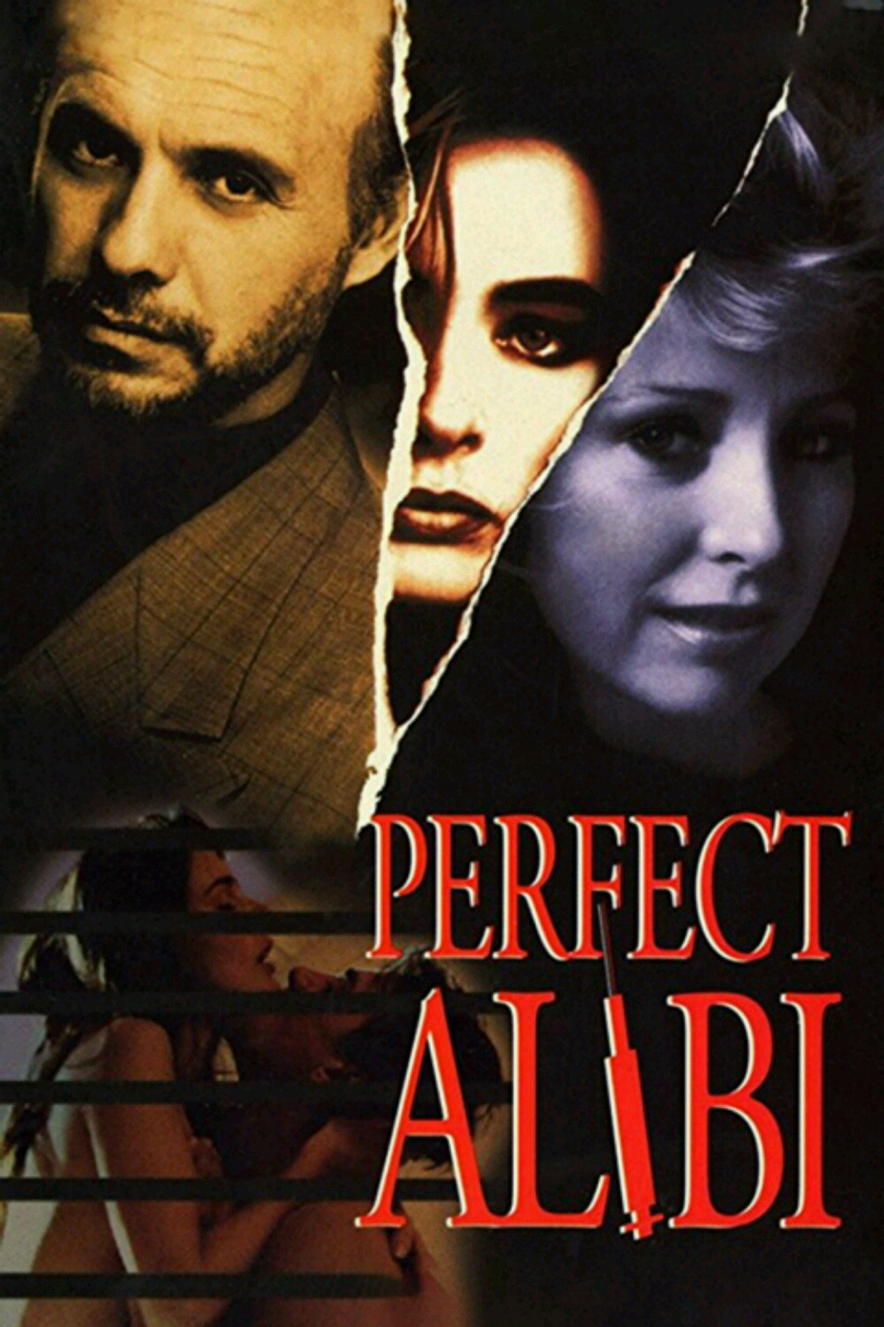 Pôster de Perfect Alibi
