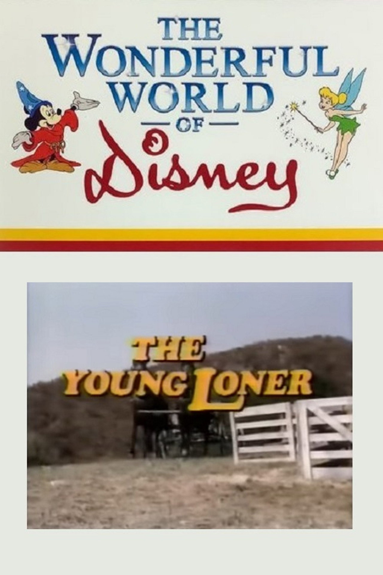 Pôster de The Young Loner