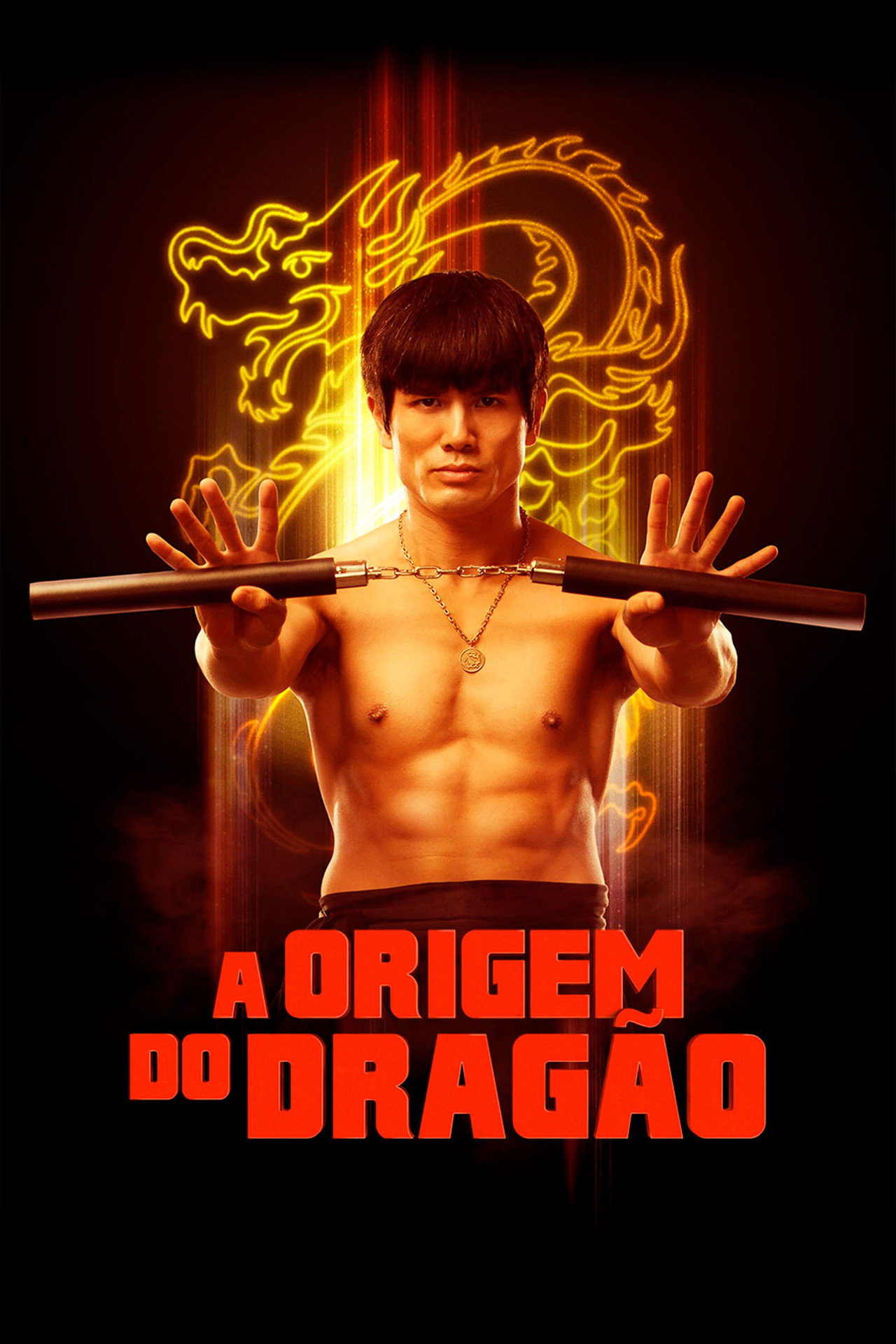Pôster de A Origem do Dragão