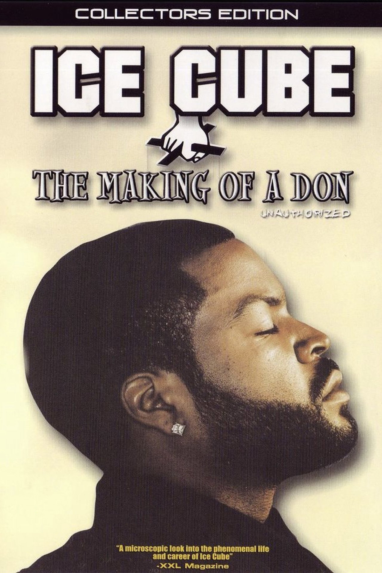 Pôster de Ice Cube: The Making of a Don