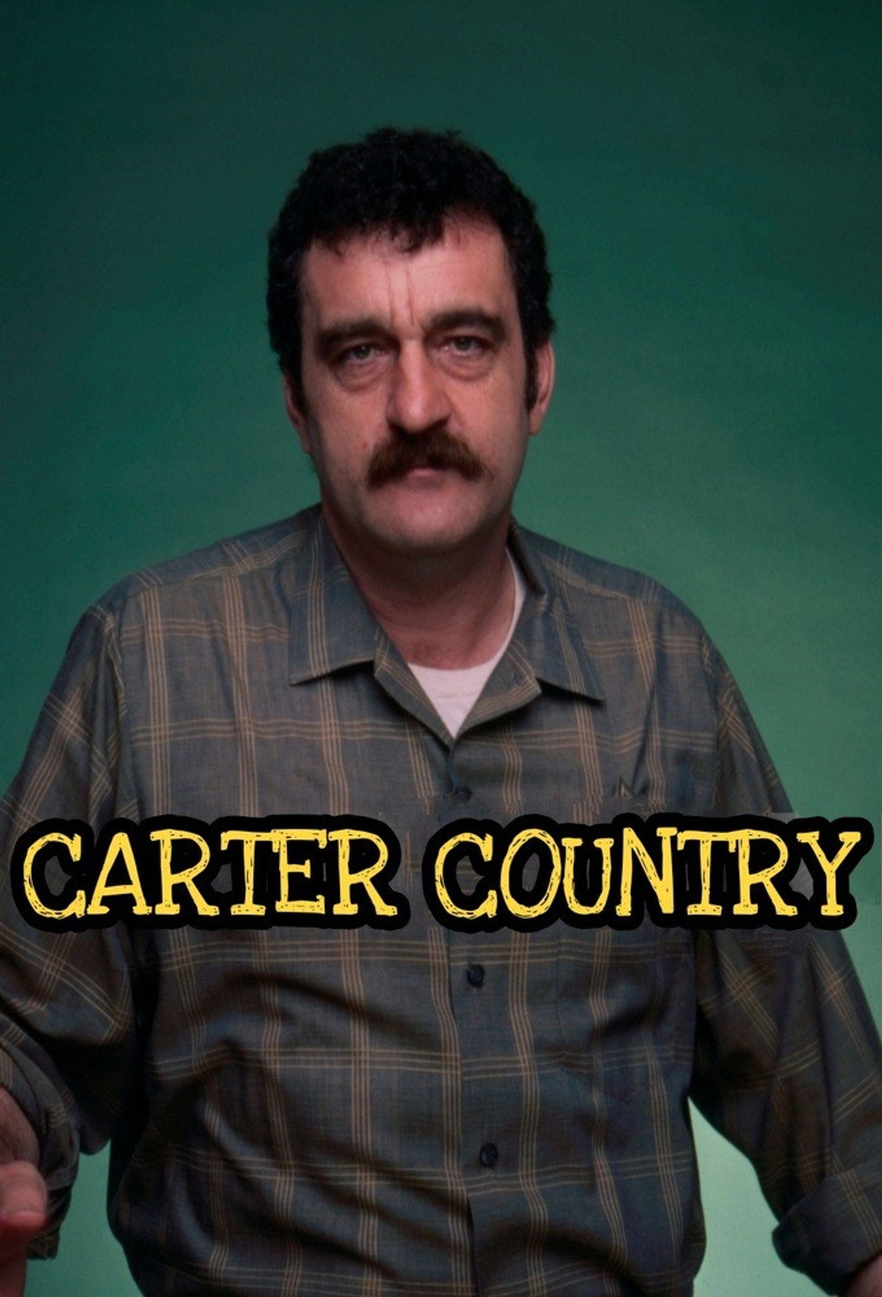 Pôster de Carter Country