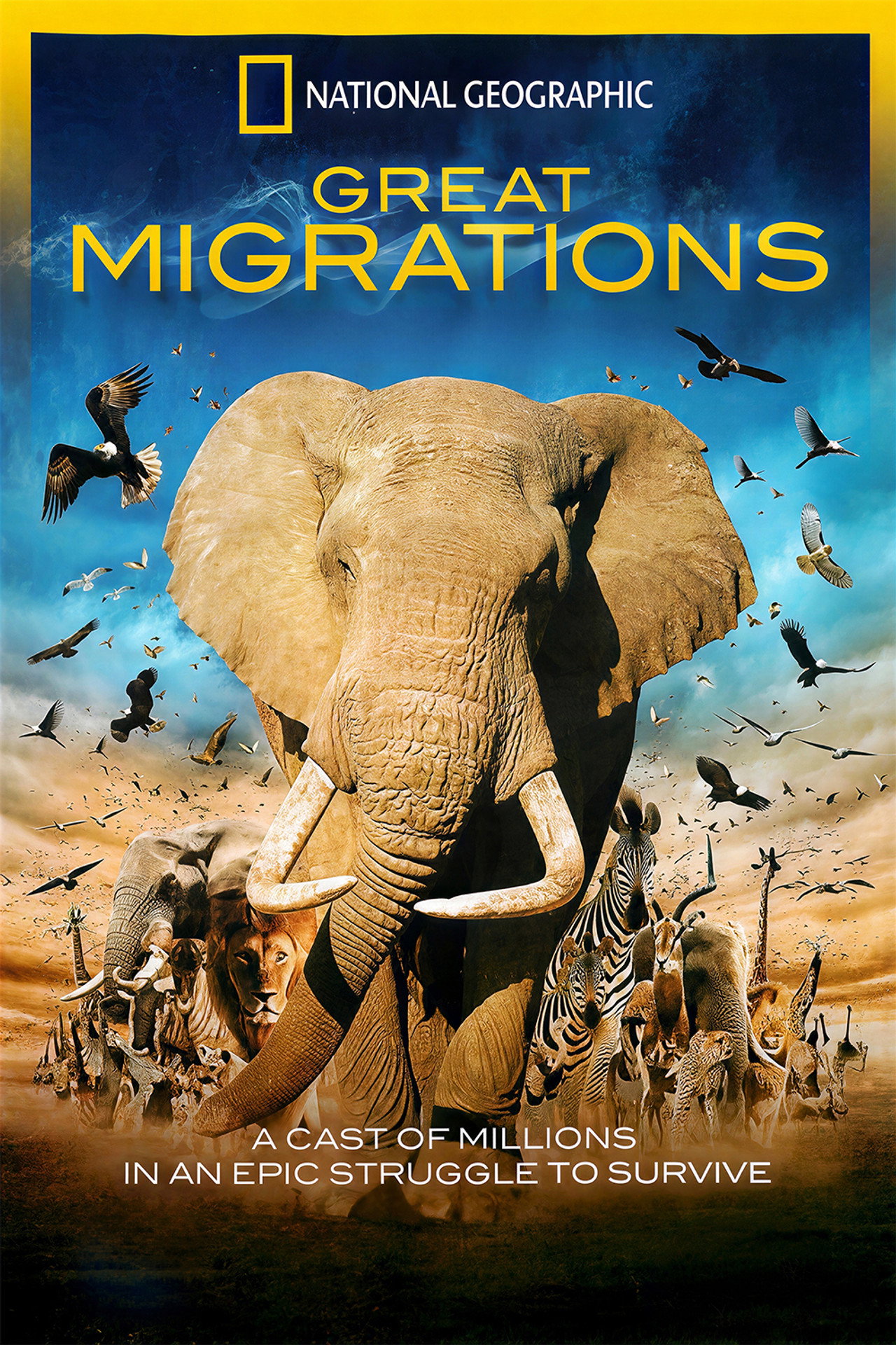 Pôster de Great Migrations