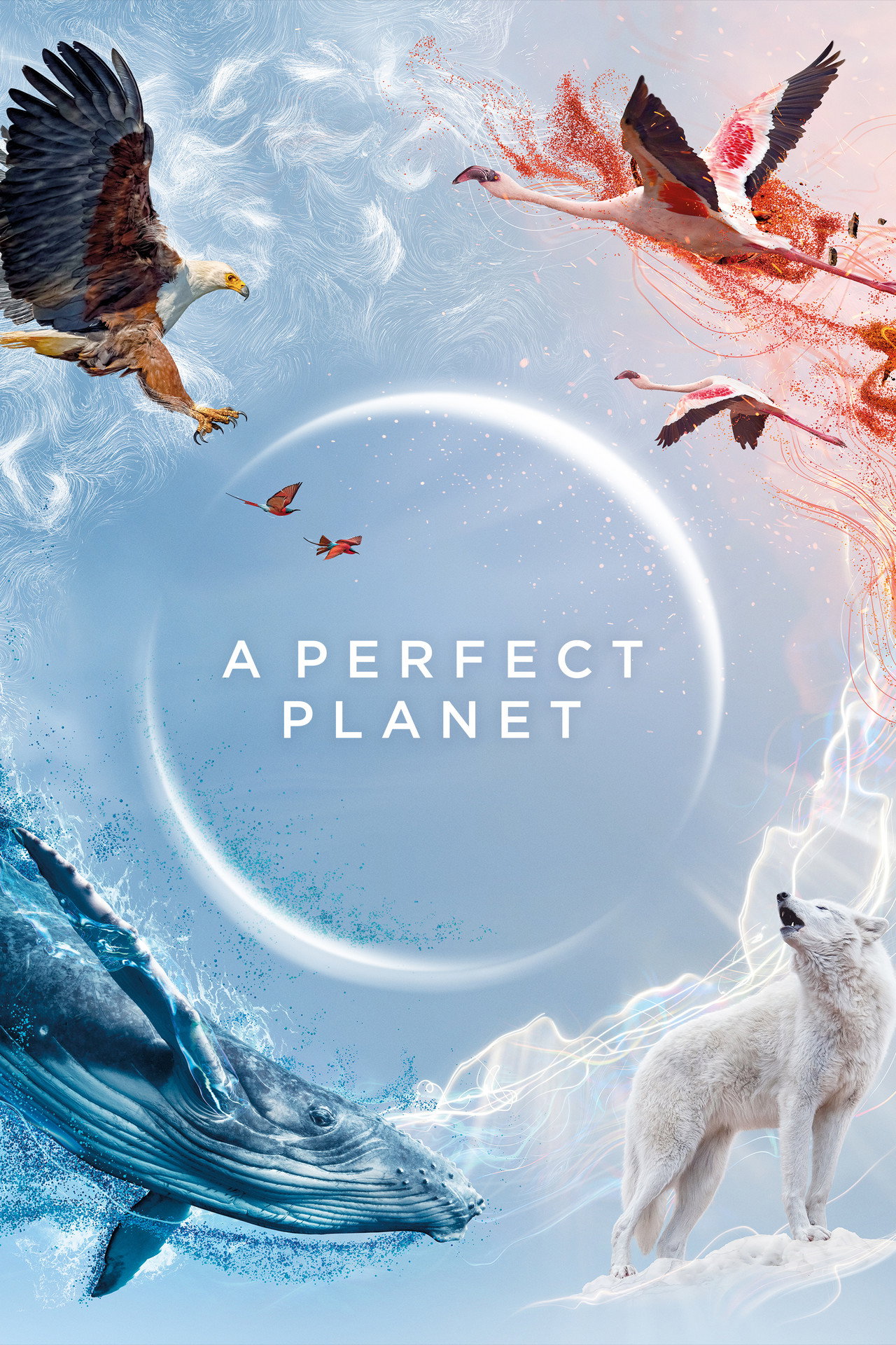Pôster de A Perfect Planet