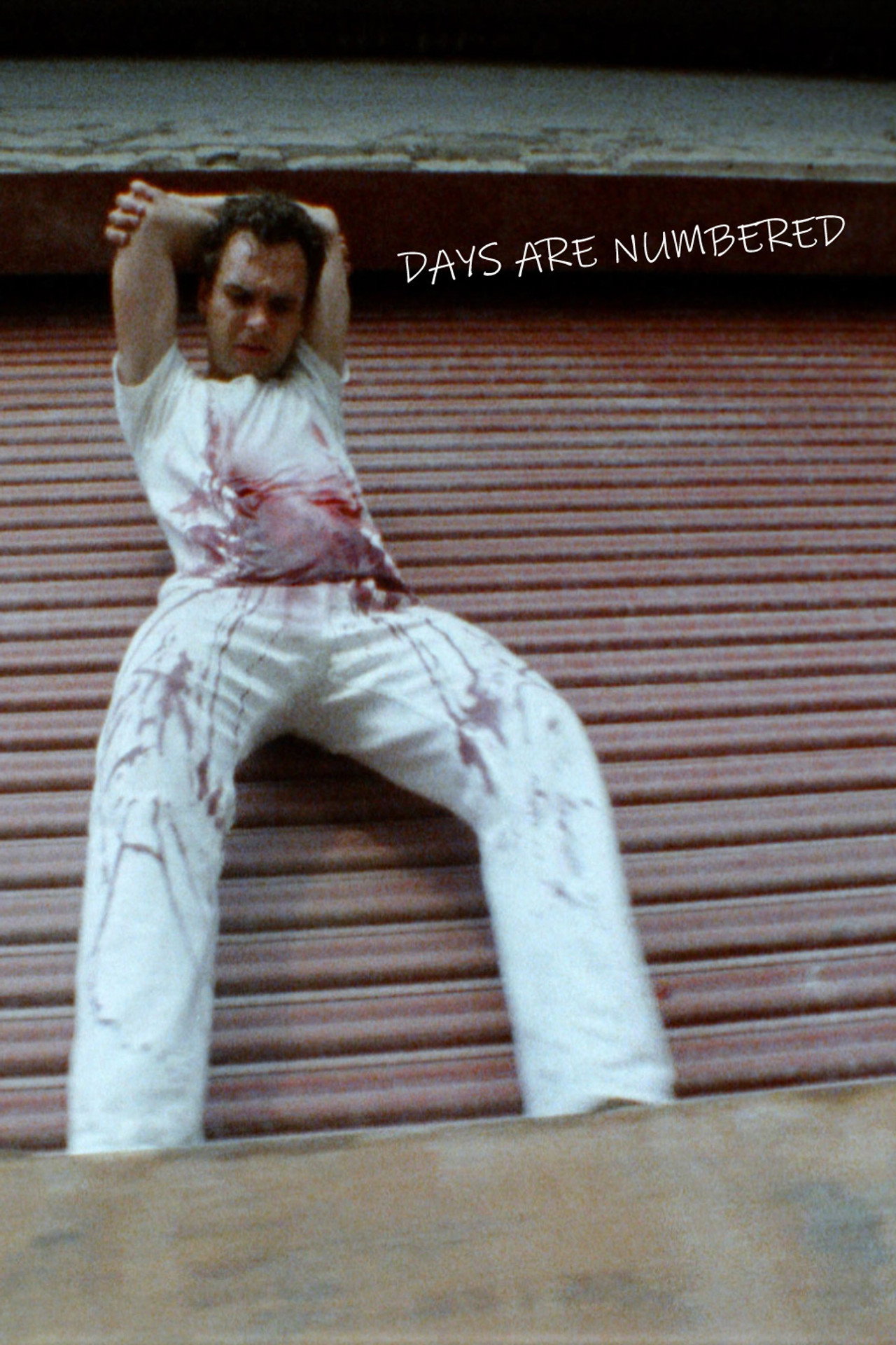 Pôster de Days Are Numbered