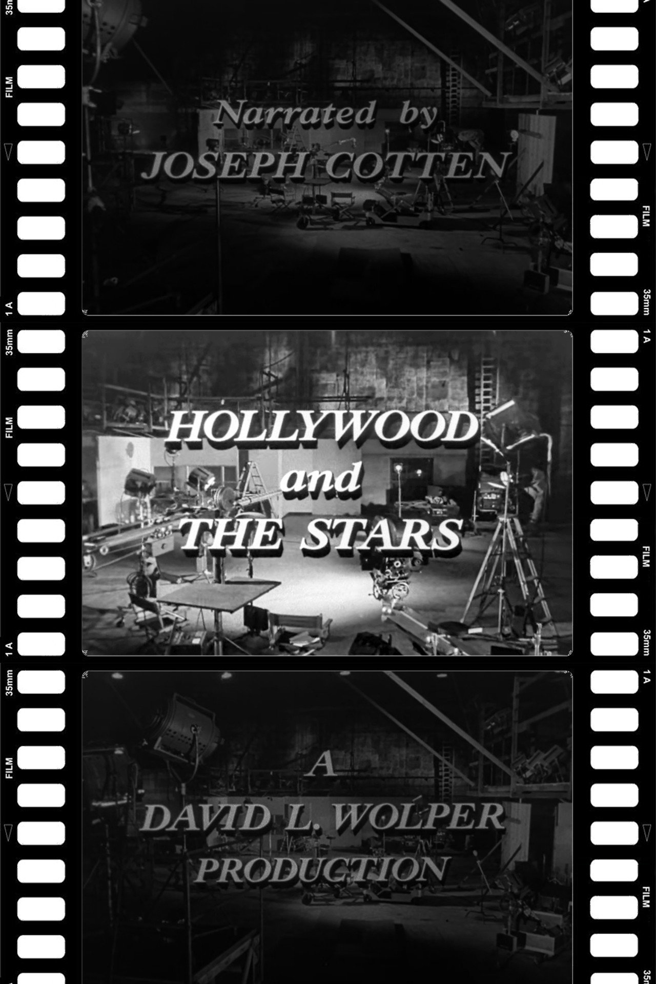 Pôster de Hollywood and the Stars