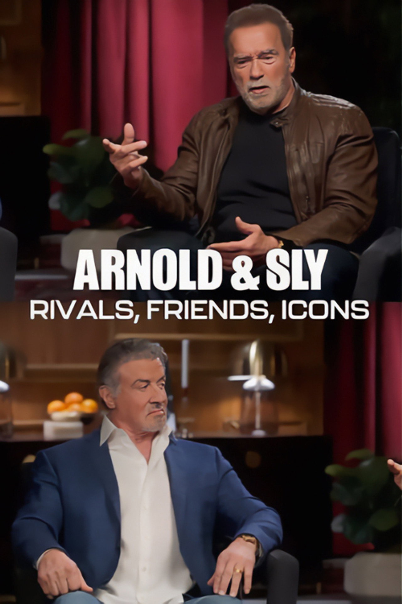 Pôster de Arnold & Sly: Rivals, Friends, Icons