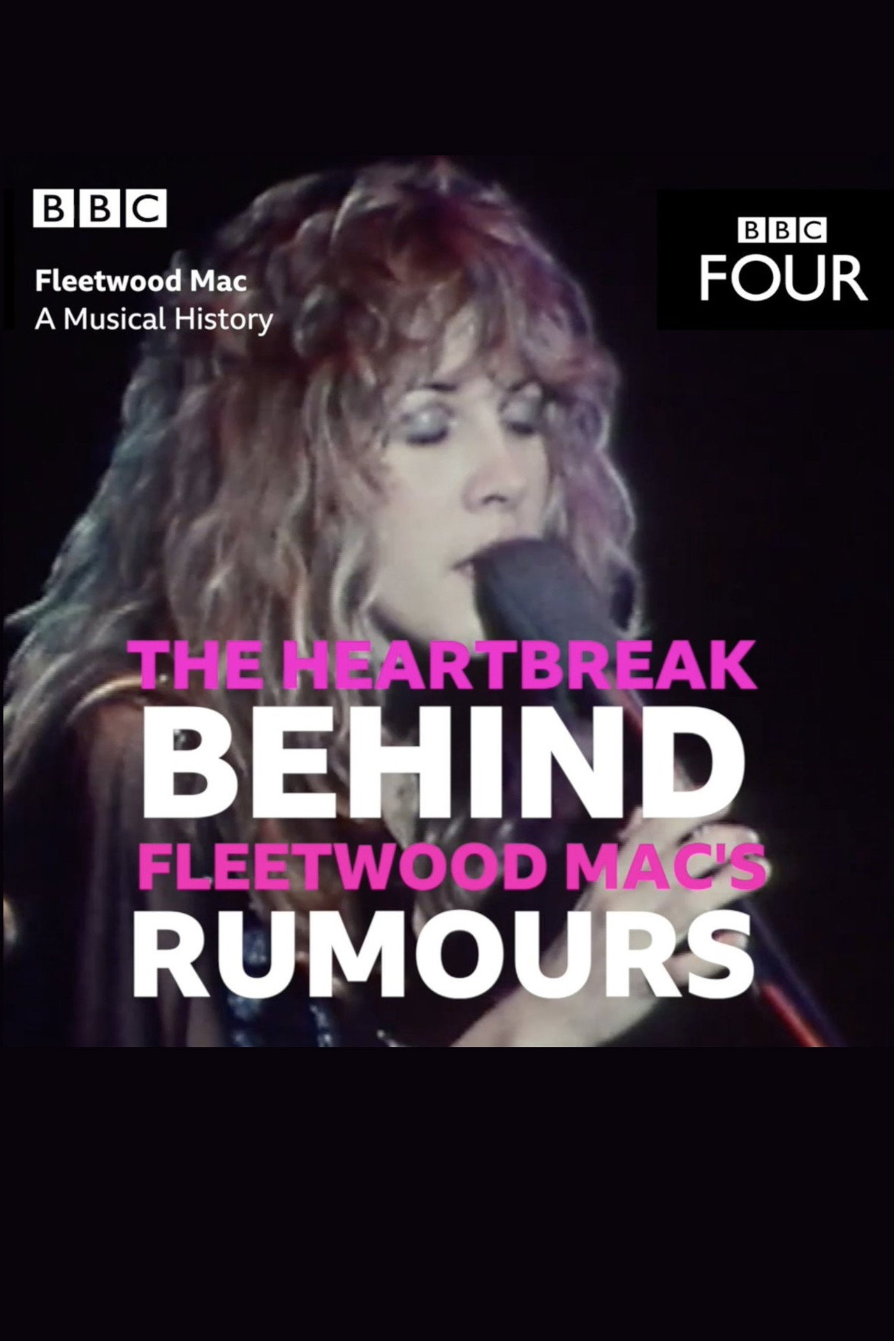 Pôster de Fleetwood Mac: A Musical History