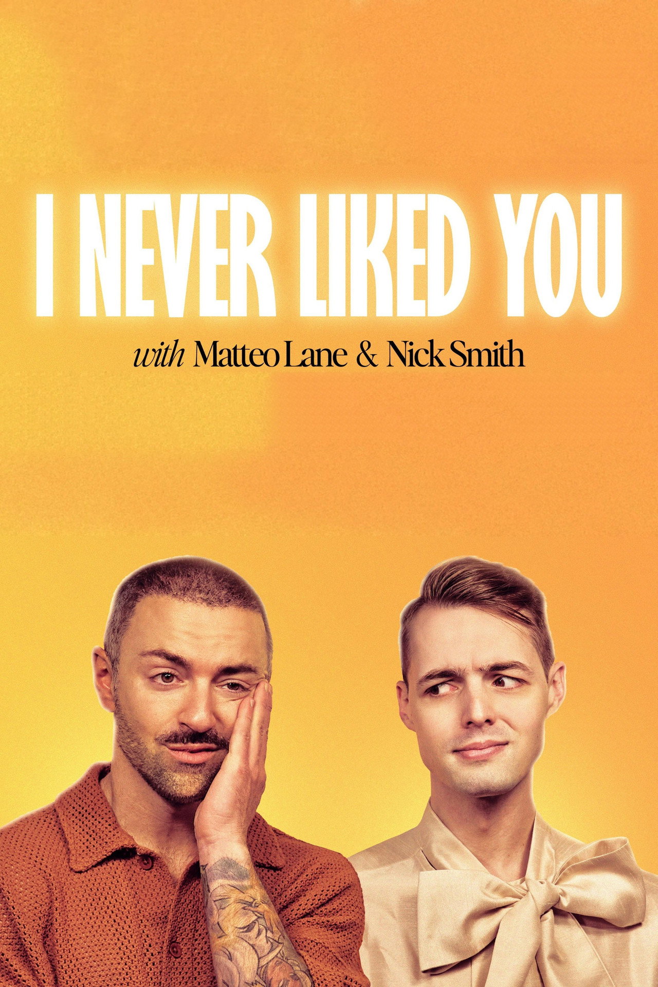 Pôster de I Never Liked You
