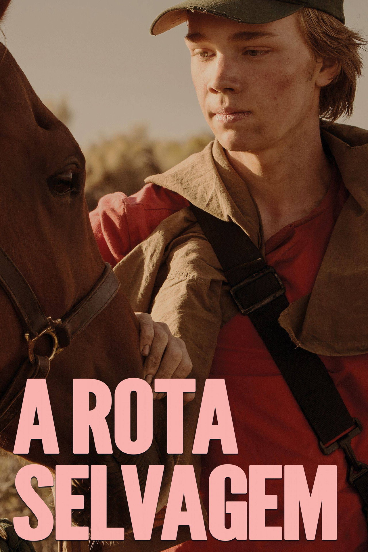 Pôster de A Rota Selvagem