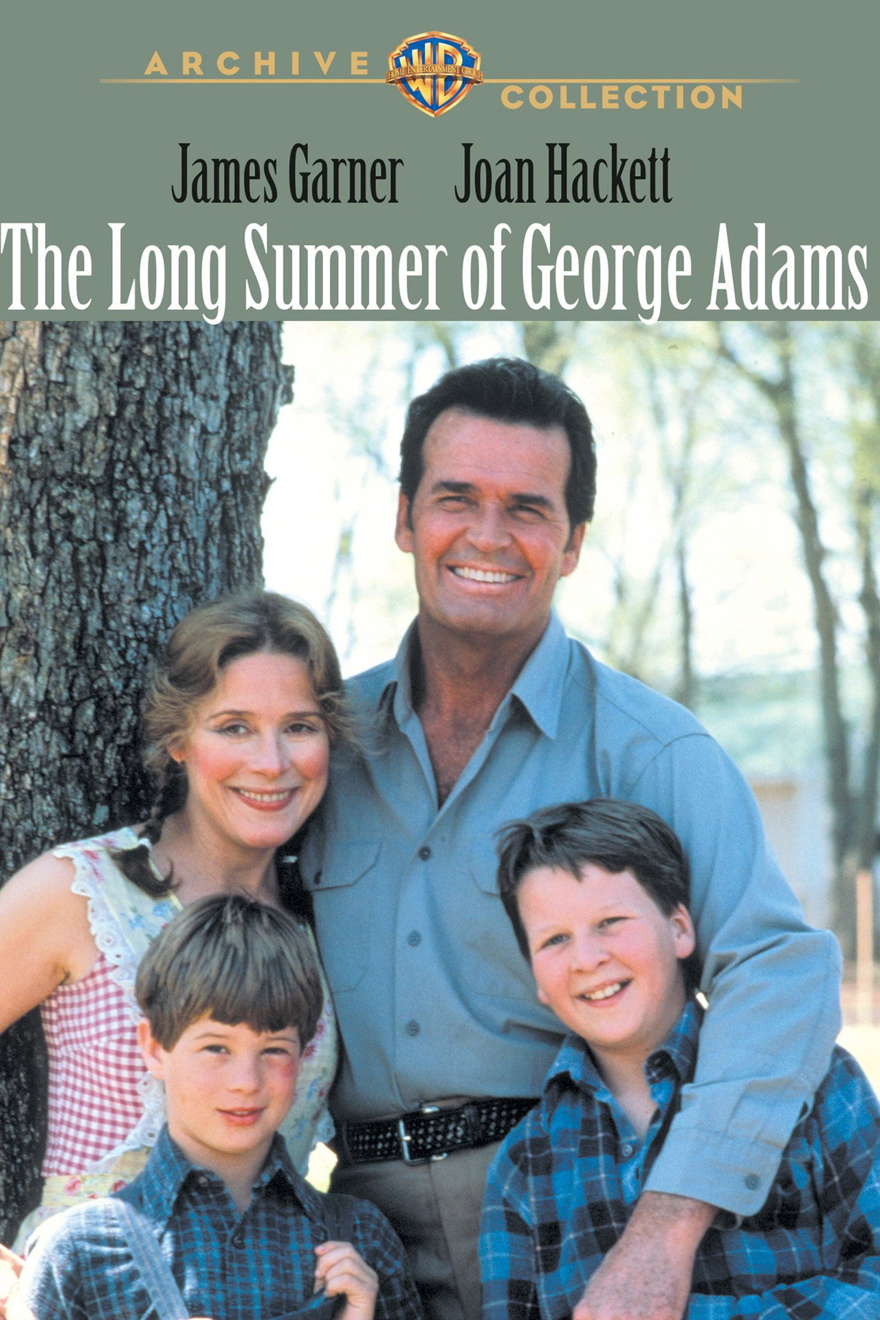 Pôster de The Long Summer of George Adams