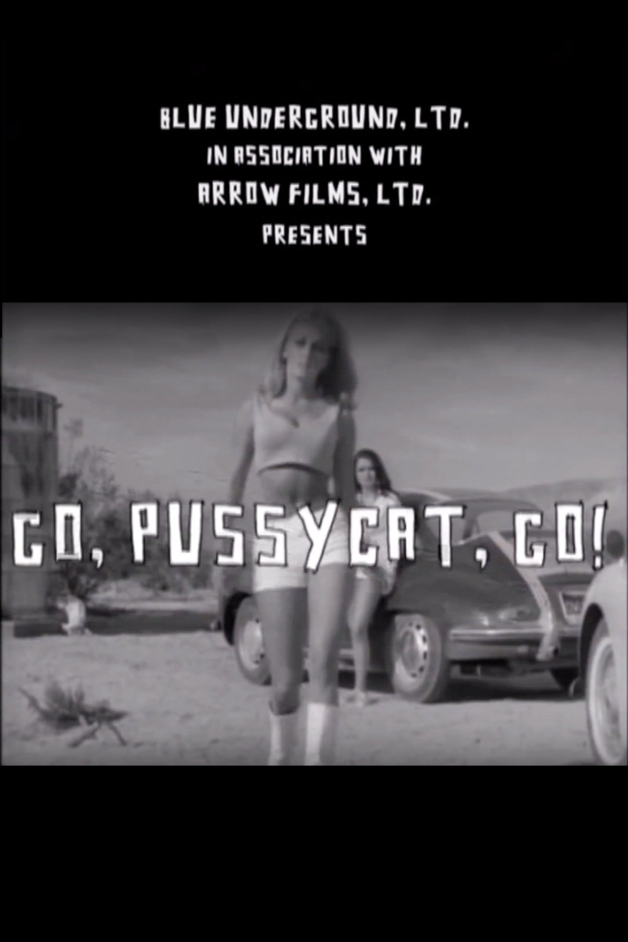Pôster de Go, Pussycat, Go!
