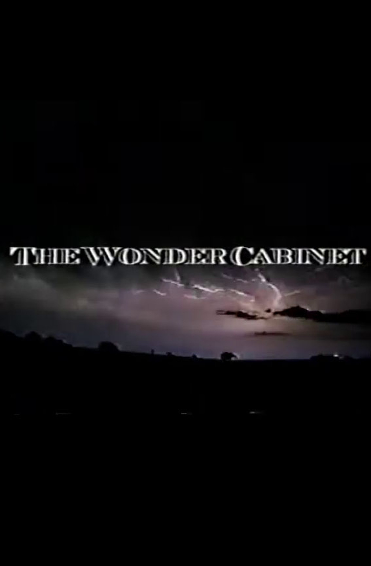 Pôster de The Wonder Cabinet