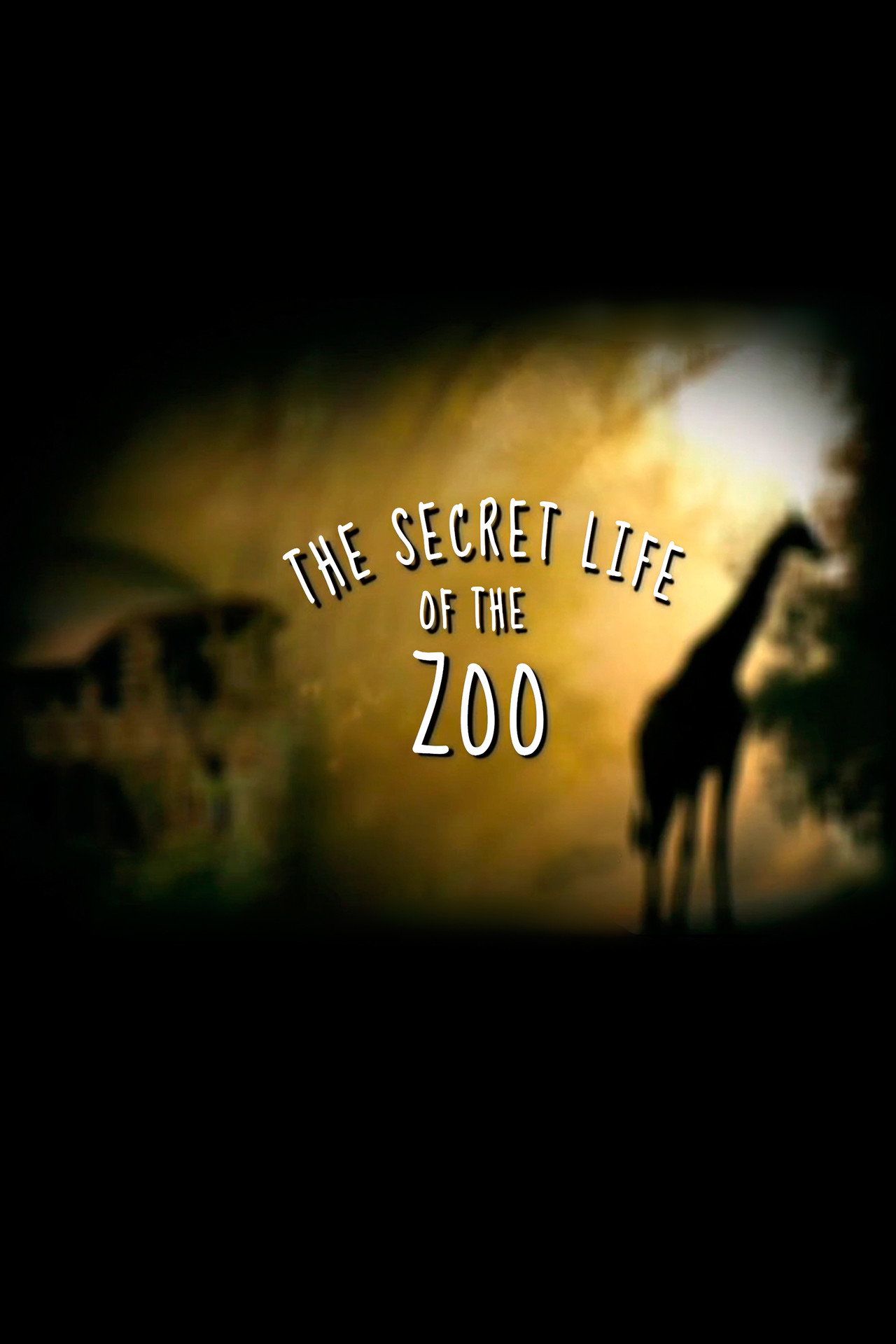 Pôster de The Secret Life of the Zoo