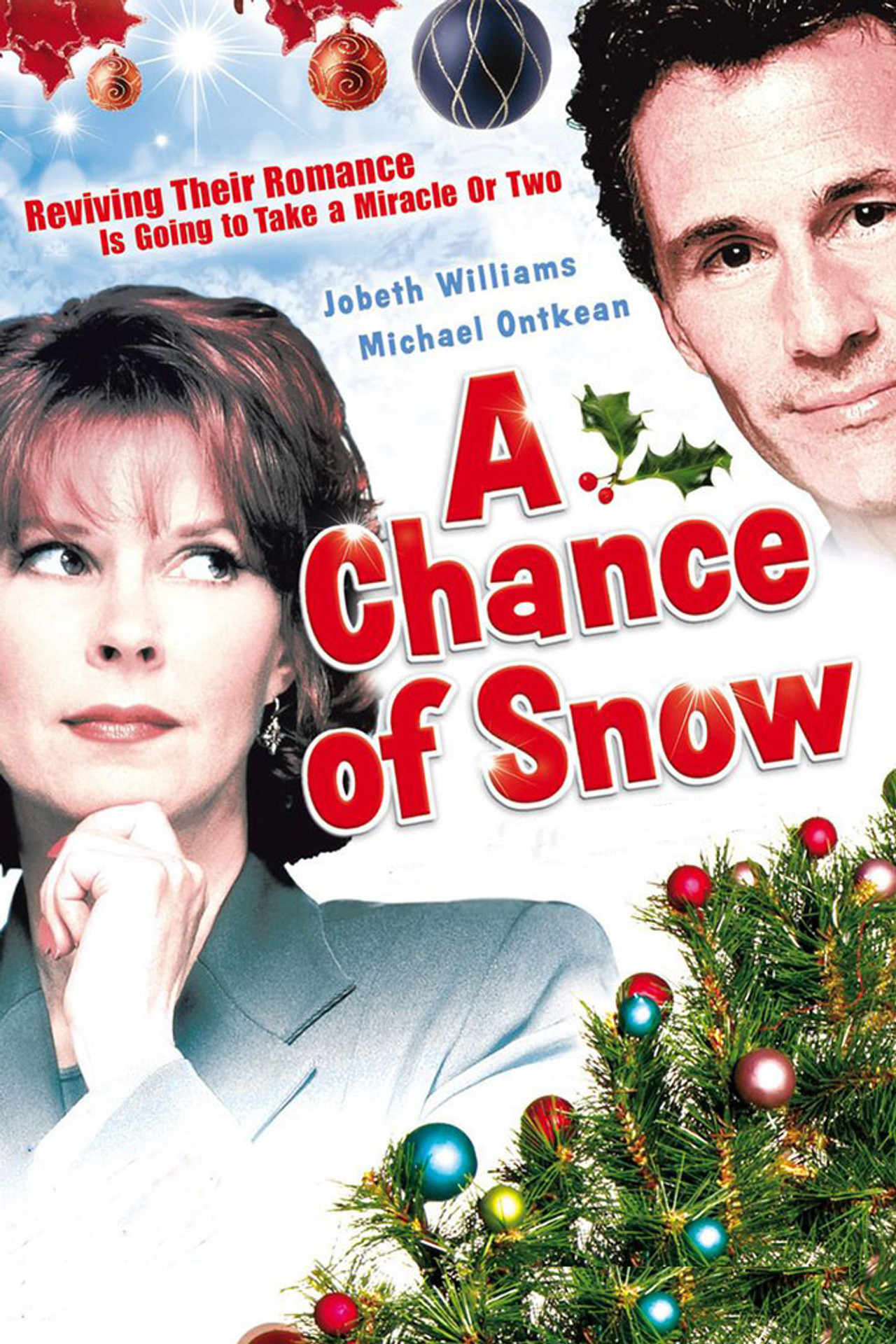 Pôster de A Chance of Snow