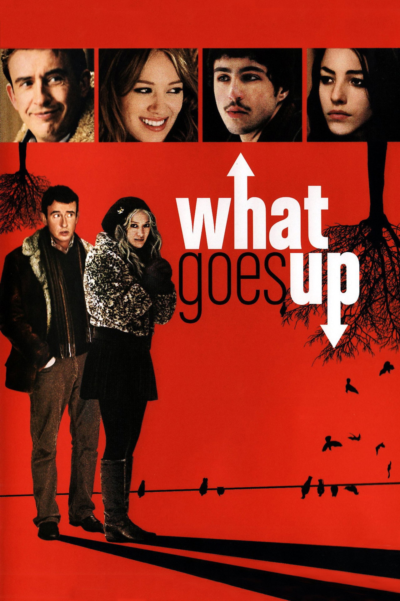 Pôster de What Goes Up